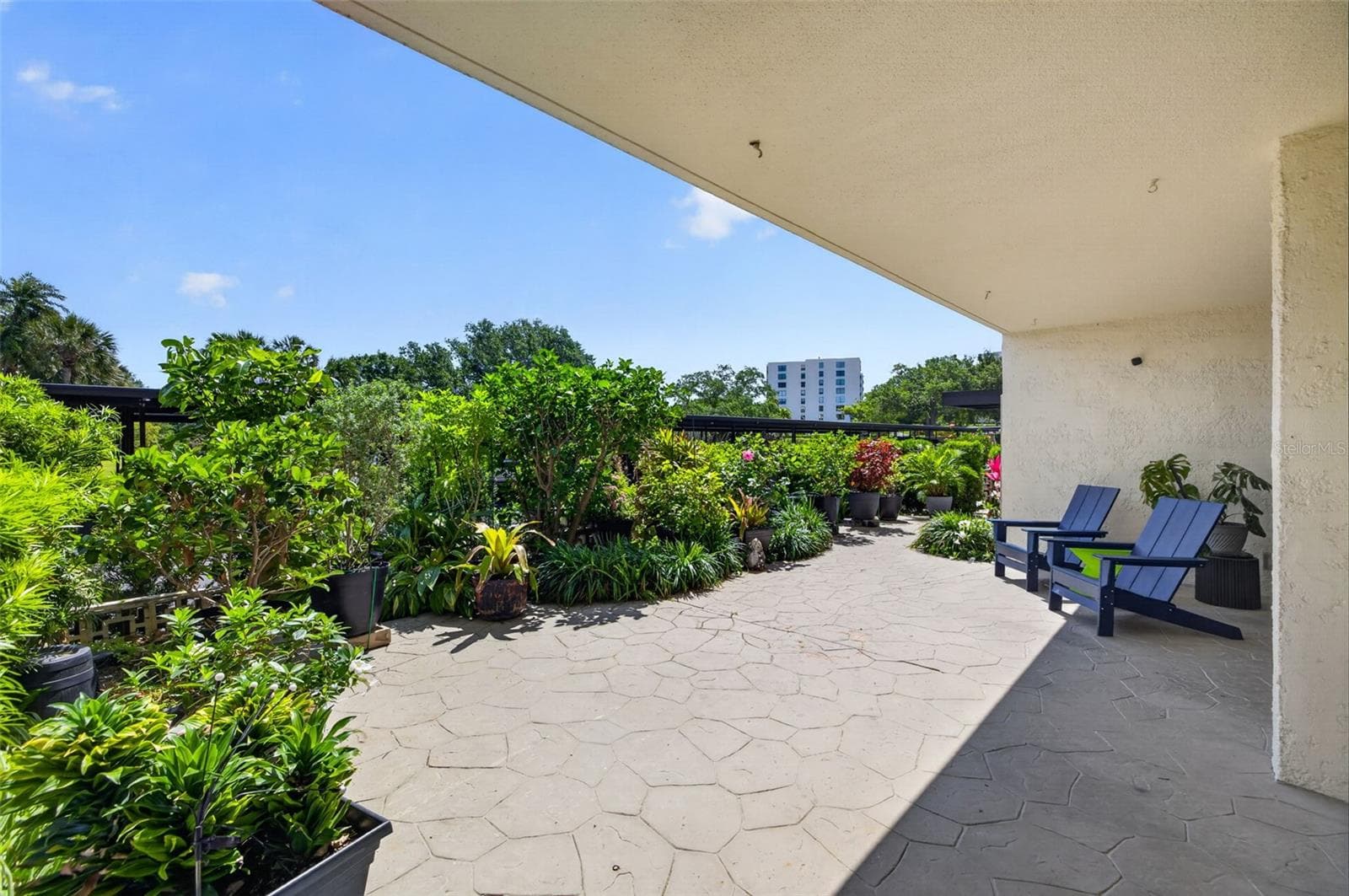 Patio - 100 OAKMONT LN #107 & 108, BELLEAIR