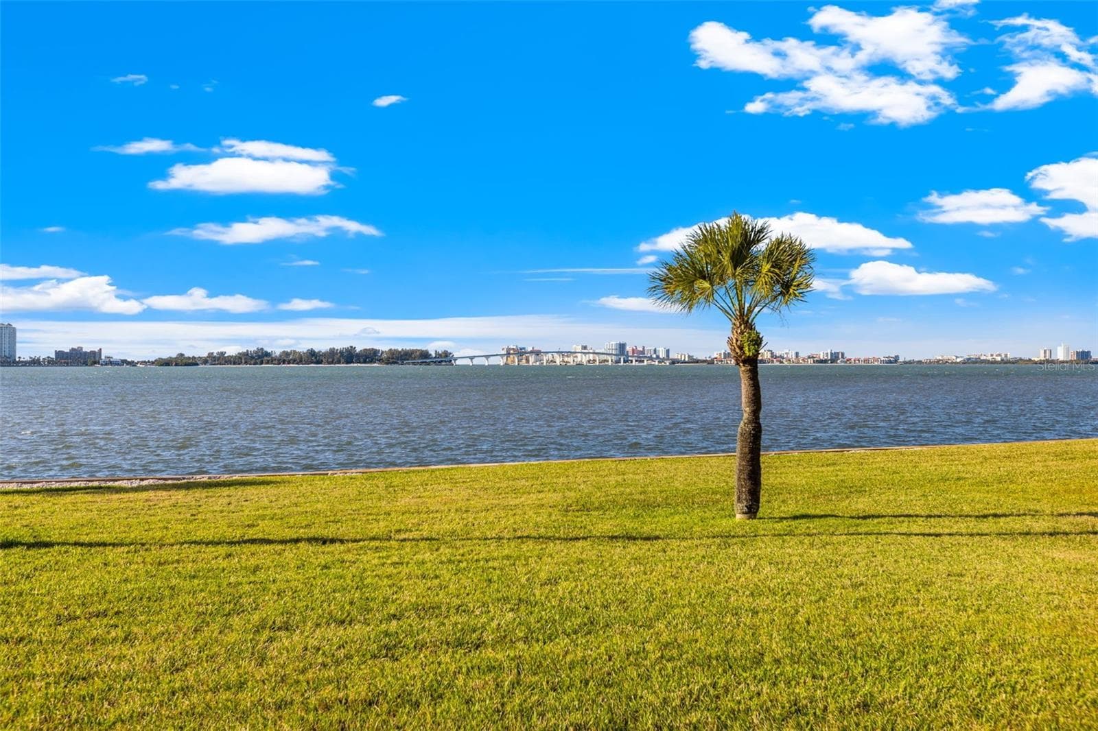 View - 100 OAKMONT LN #107 & 108, BELLEAIR