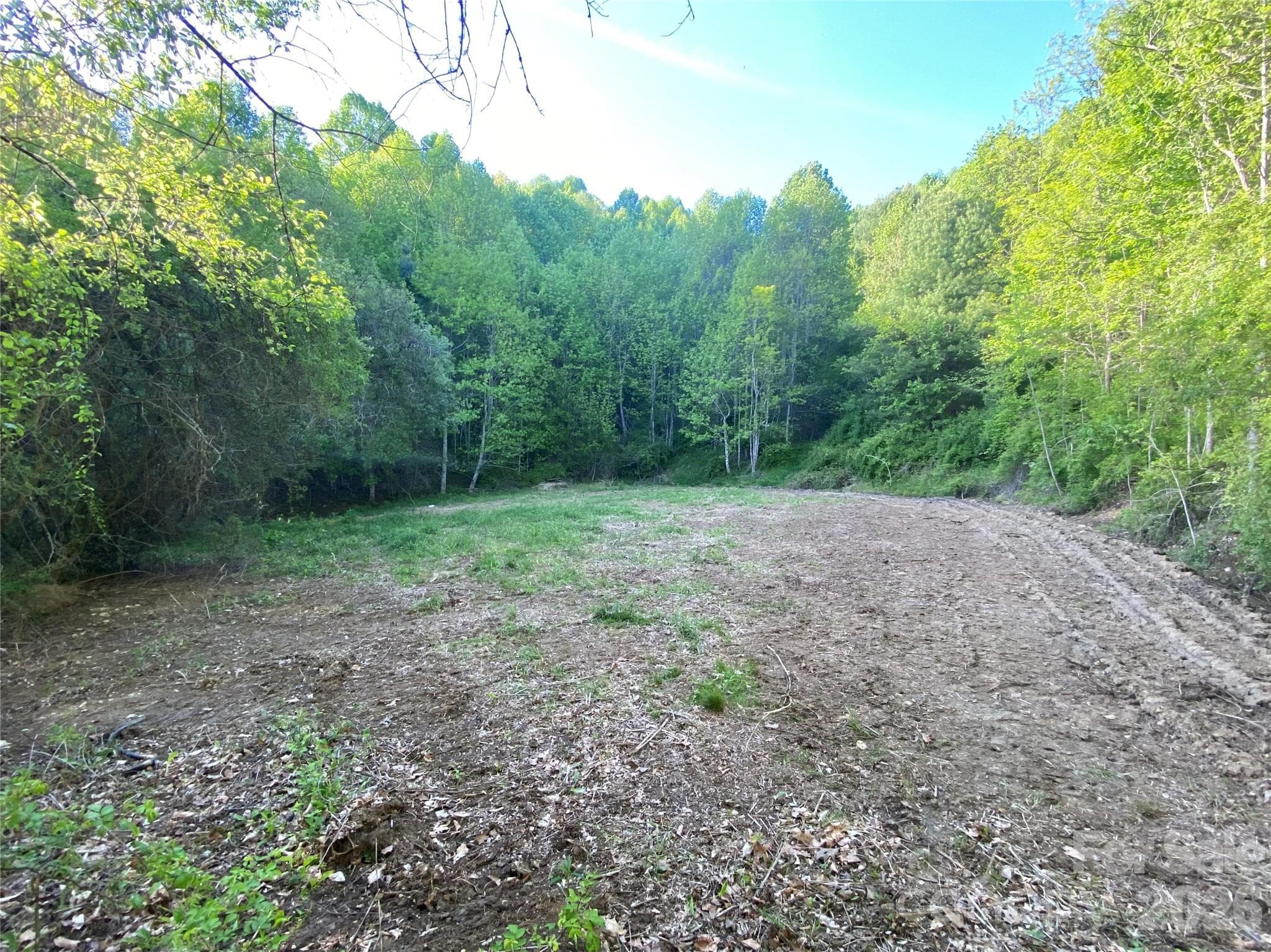 Unimproved Commercial at Mars Hill, photo 6 of 15