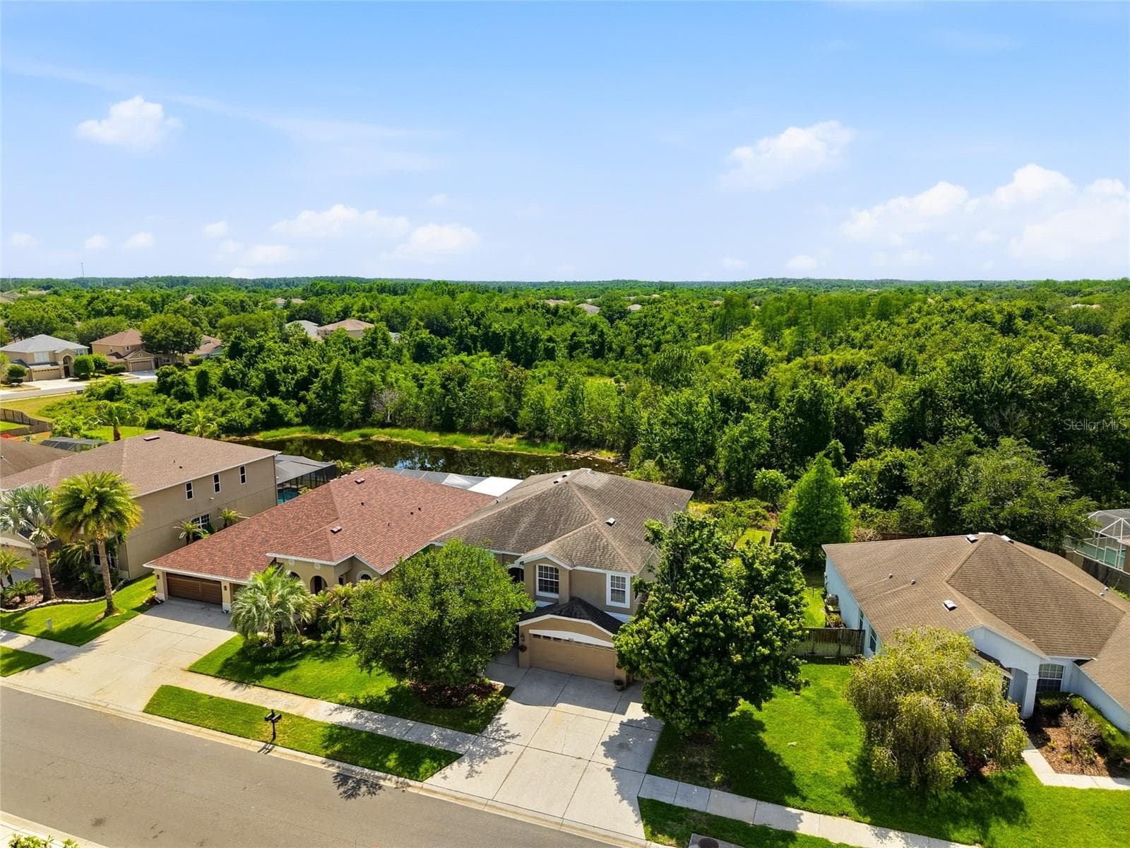 Single Family Residence at 9643 ASBEL ESTATES ST, LAND O LAKES, photo 3 of 49