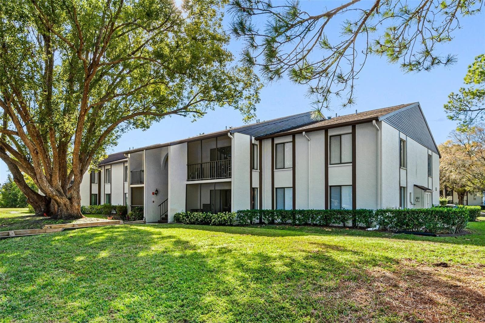 Pine Ridge is Palm Habor's highly desirable 55+ pet-friendly community~ - 2642 PINE RIDGE WAY S #G2, PALM HARBOR