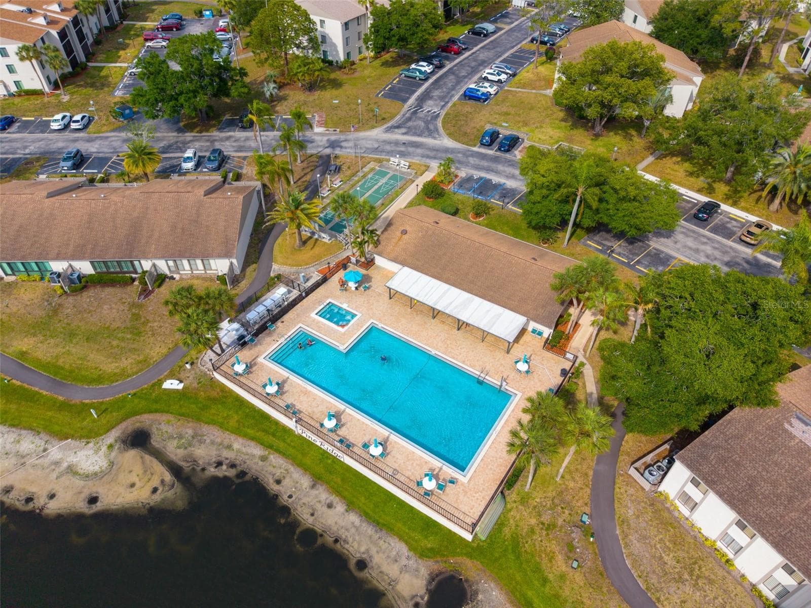 Olympic sized heated community pool for year-round enjoyment~ - 2642 PINE RIDGE WAY S #G2, PALM HARBOR