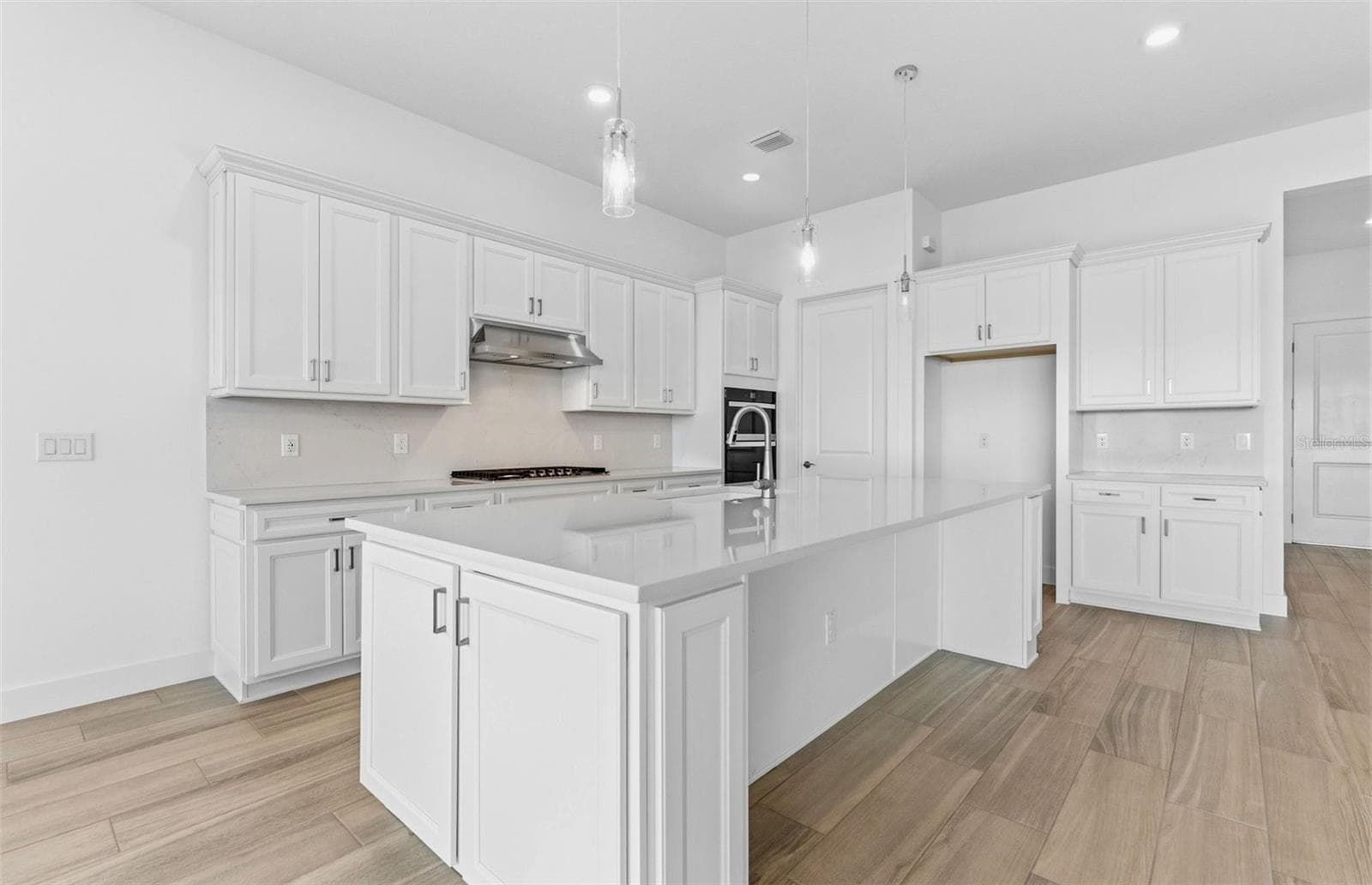 Stylish Kitchen - 16412 RUSTIC SKY DR, SPRING HILL