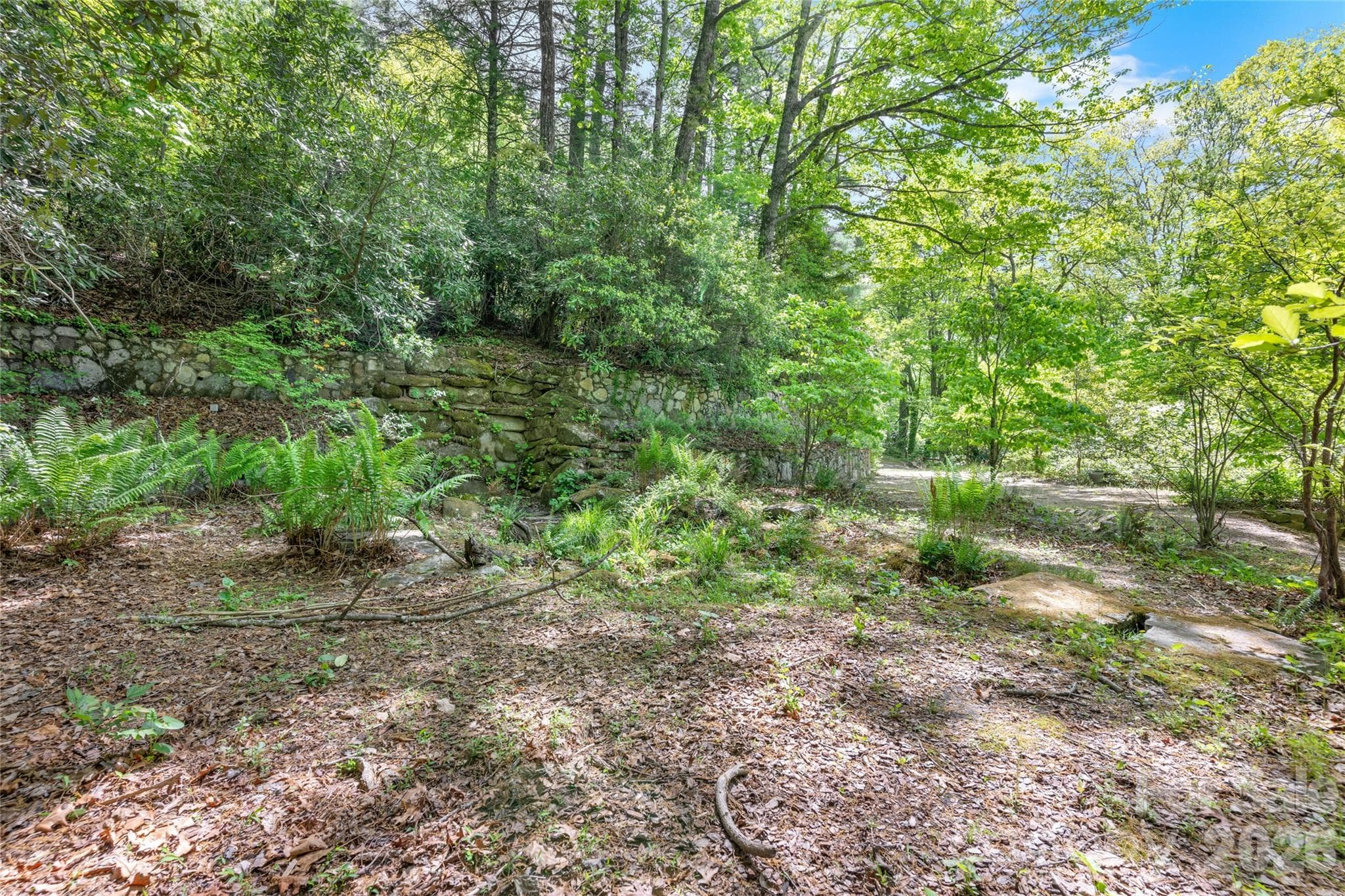 Lot at 1923 Cold Mountain Road, Lake Toxaway, photo 5 of 34