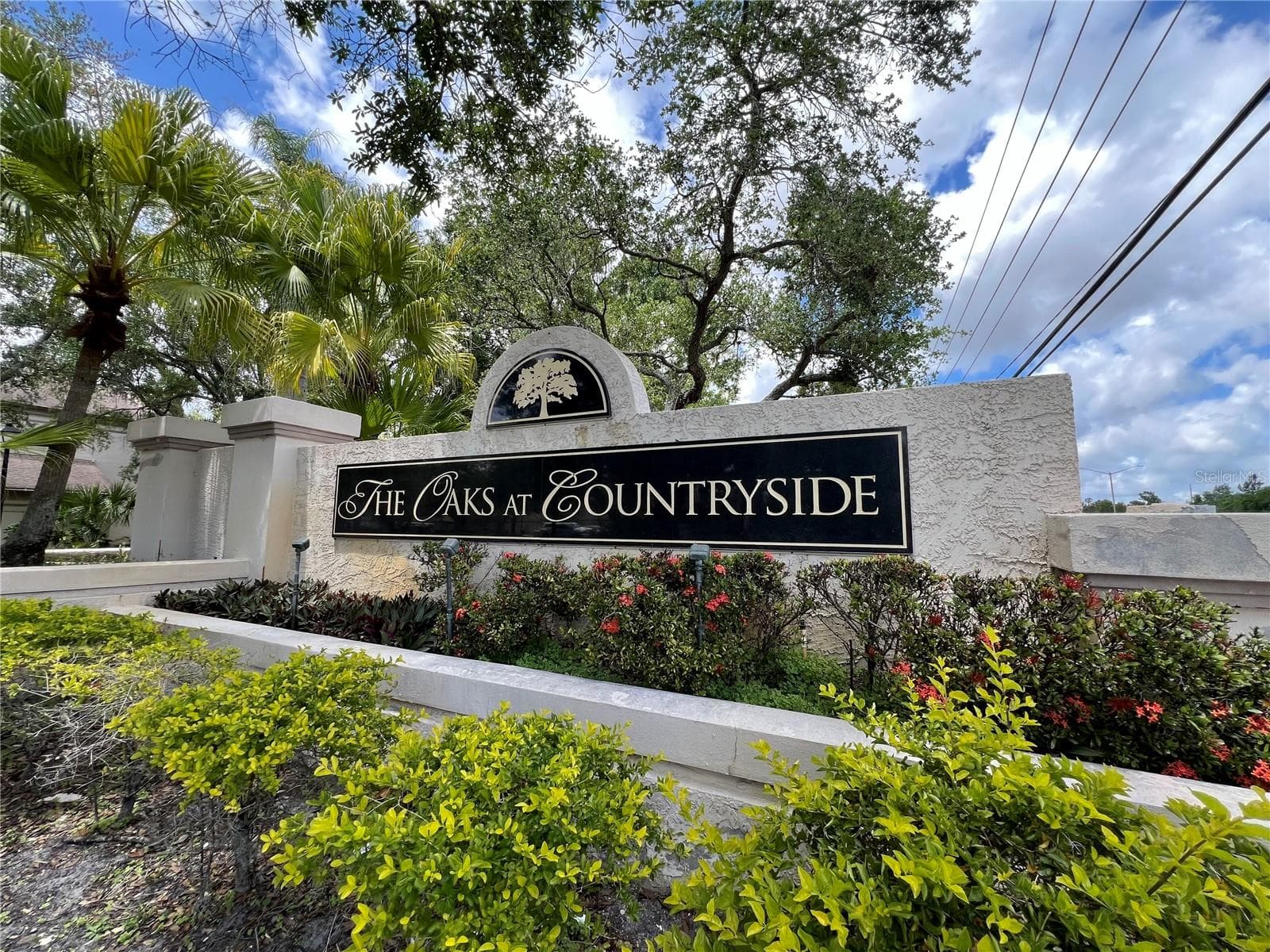 Condominium at 3014 RED OAK CT #102, PALM HARBOR, photo 36 of 42