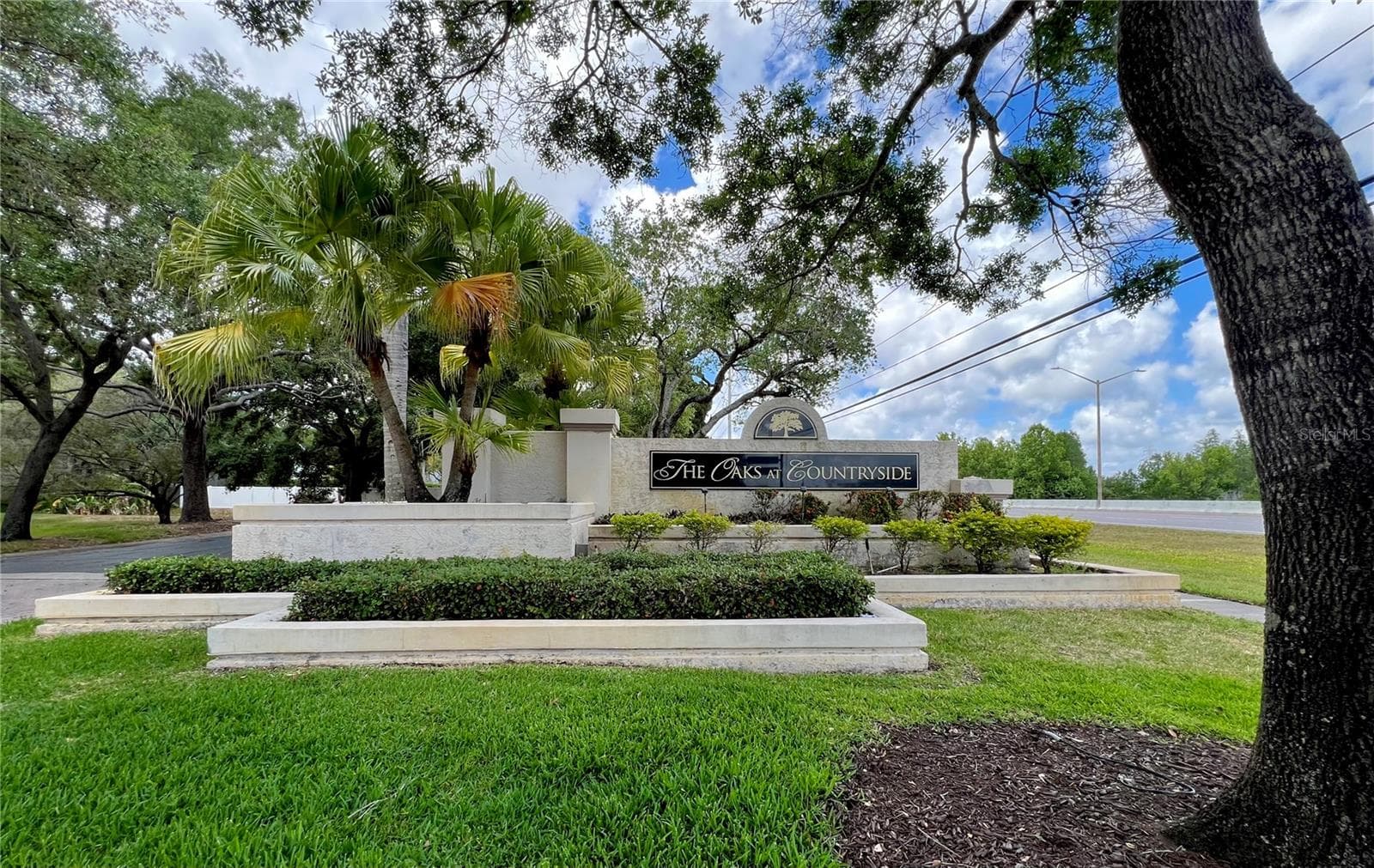 Condominium at 3014 RED OAK CT #102, PALM HARBOR, photo 37 of 42