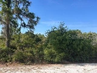 713 (BLK 123 LOTS 15&16) CAMELLIA DR