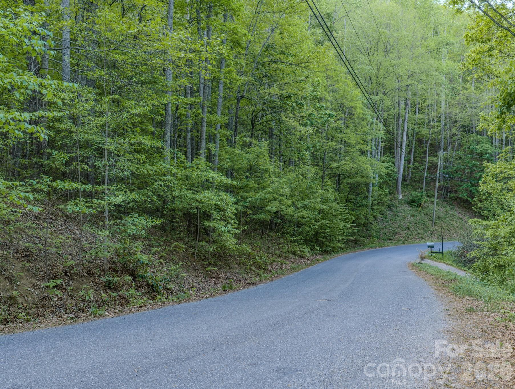 Lot 1 - 259 Mockingbird Road, Swannanoa