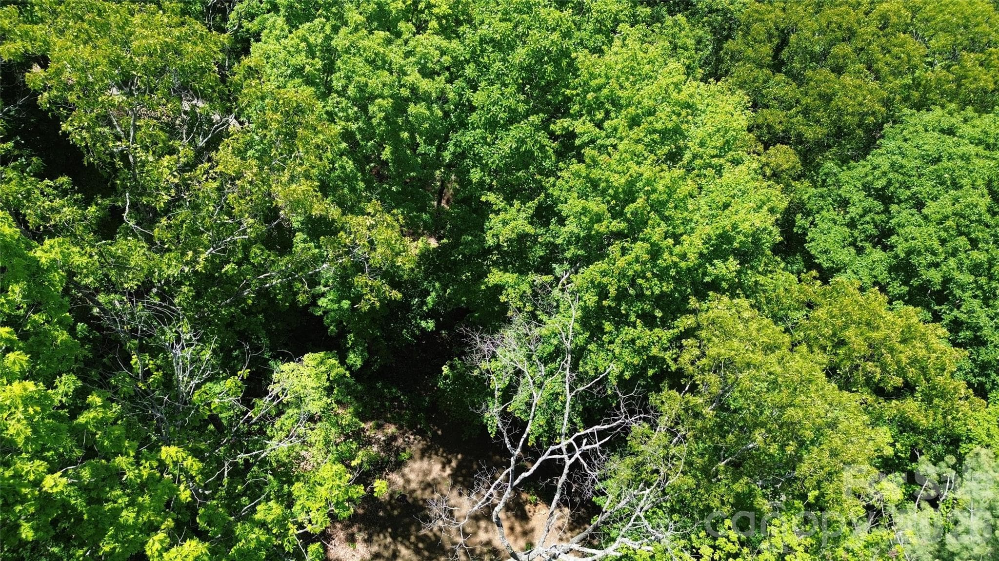 Acreage at Weaverville, photo 2 of 22