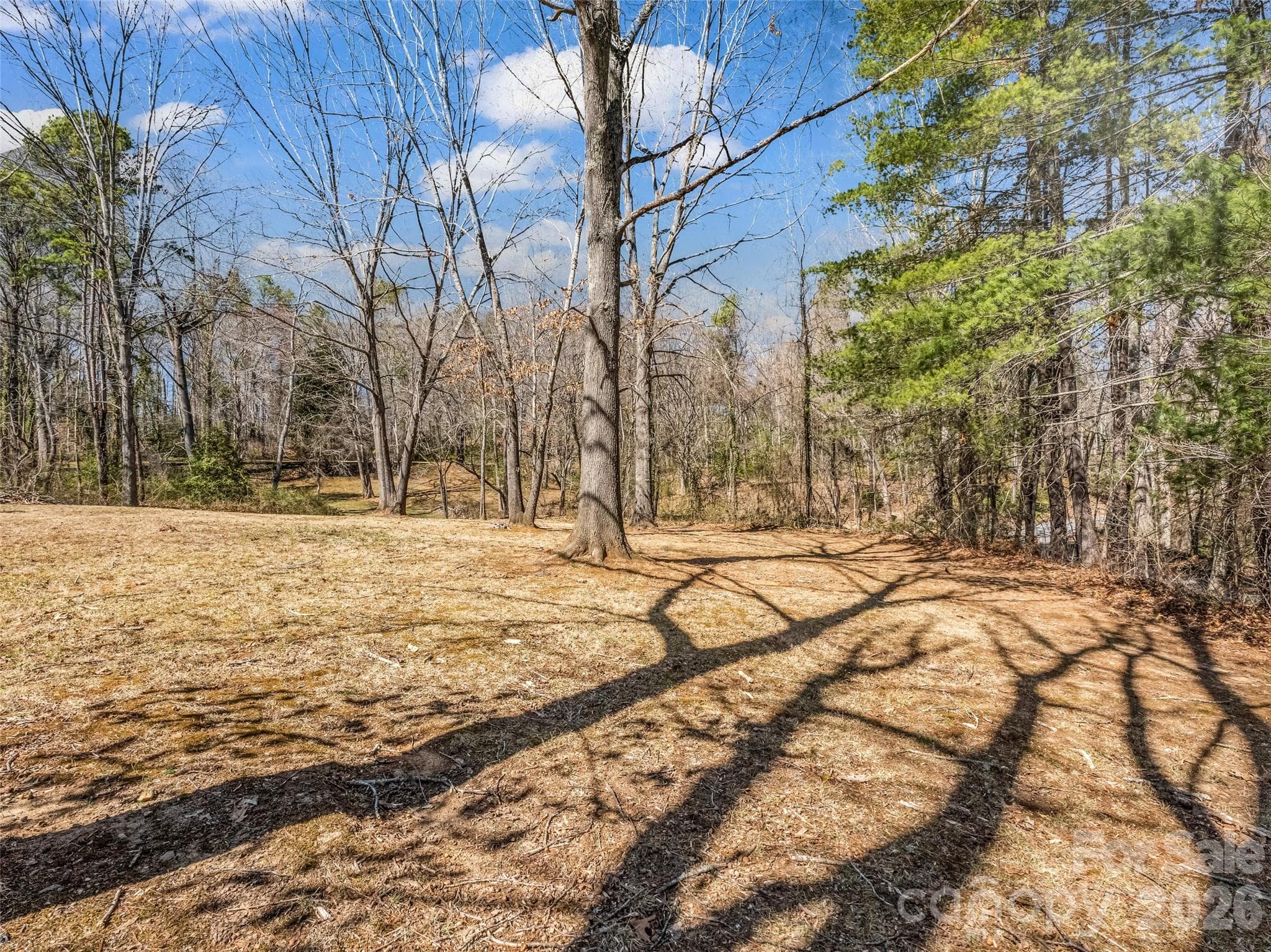 Acreage at 156 Warren Wilson Road, Swannanoa, photo 3 of 38