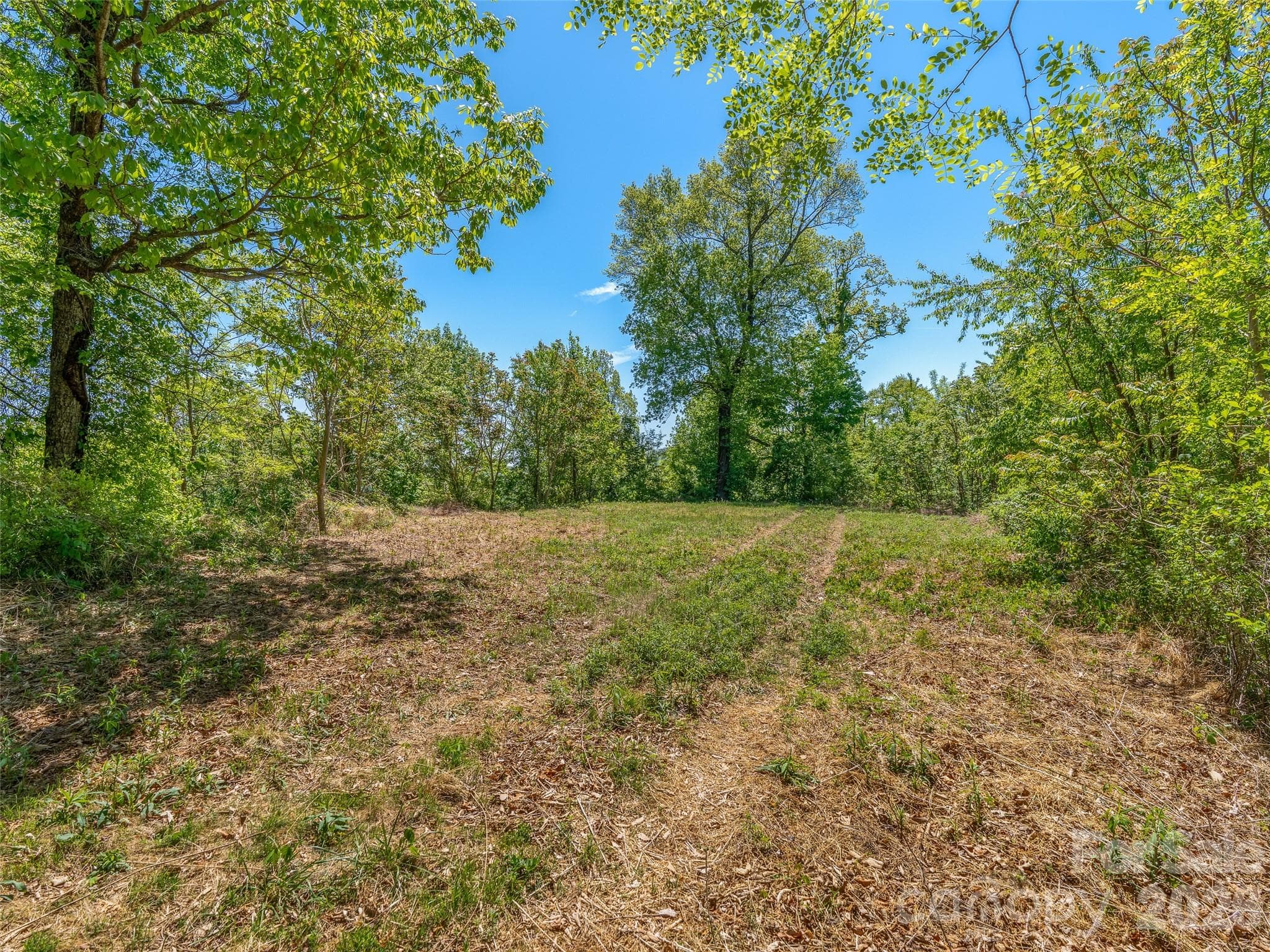Level homesite with breathtaking year-round mountain views! - Black Mountain