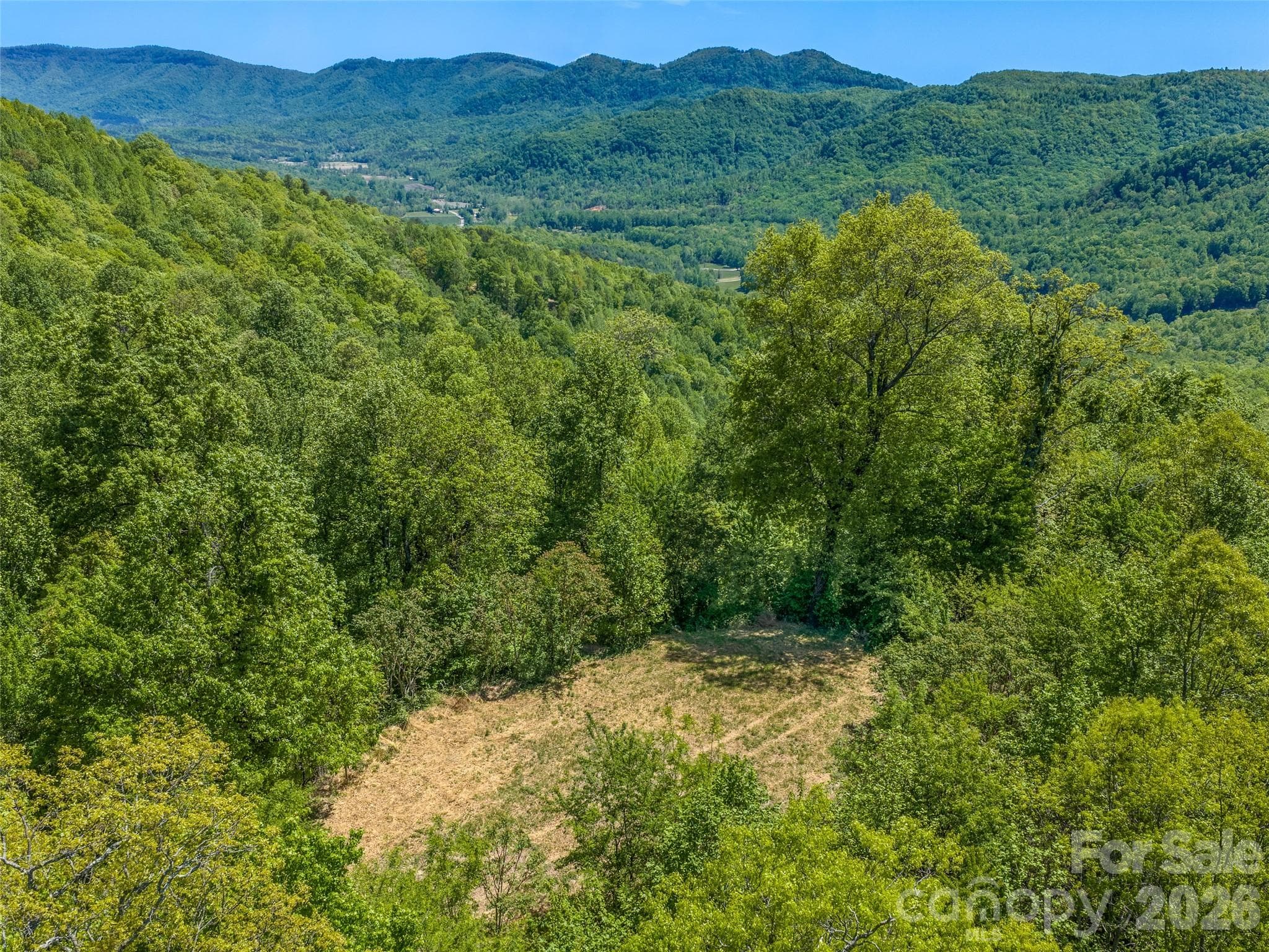 Large, flat building pad with gentle topography and year-round views. - Black Mountain