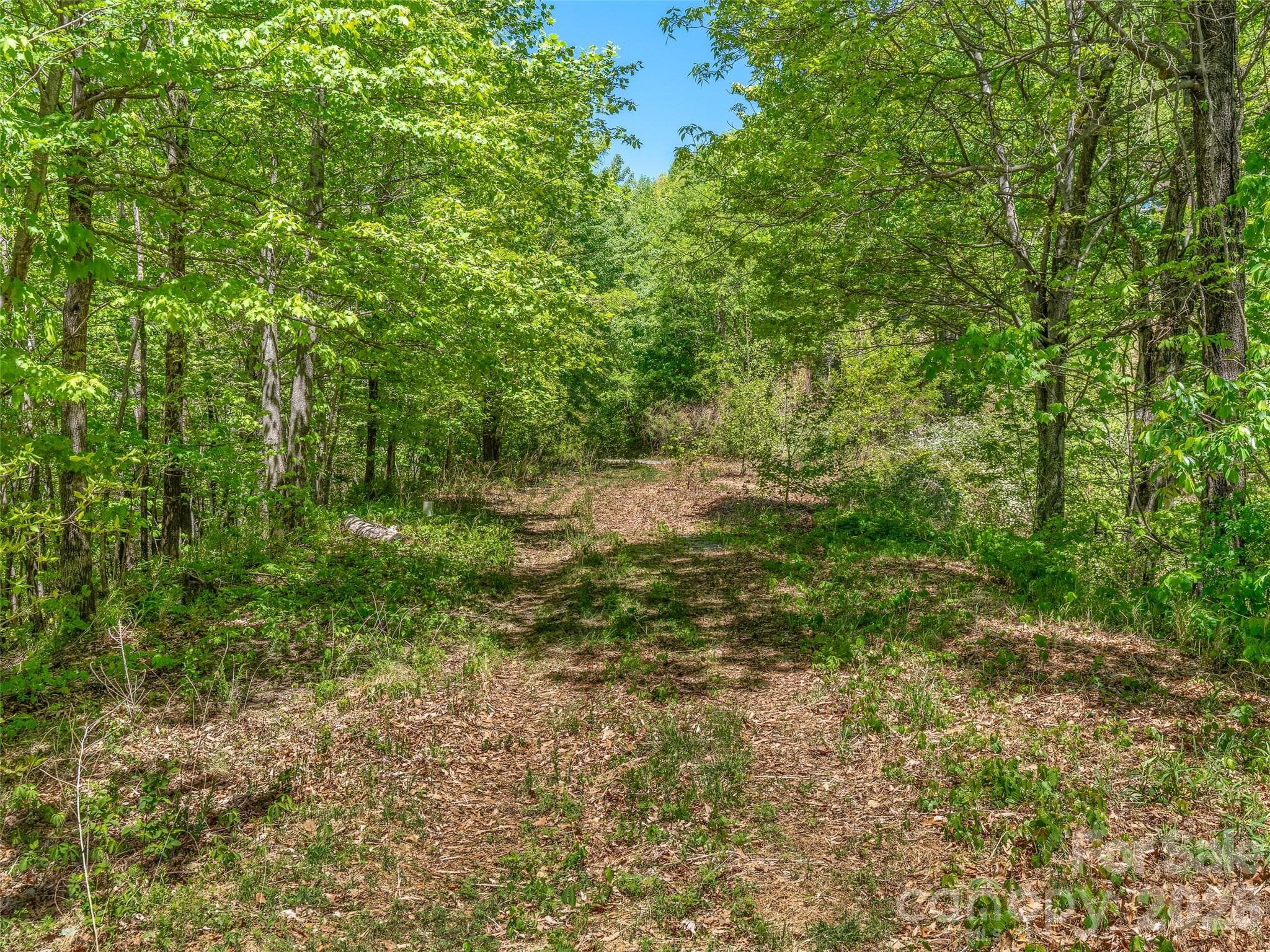 A level, roughed-in driveway leads to a large, flat building pad with gentle topography. - Black Mountain