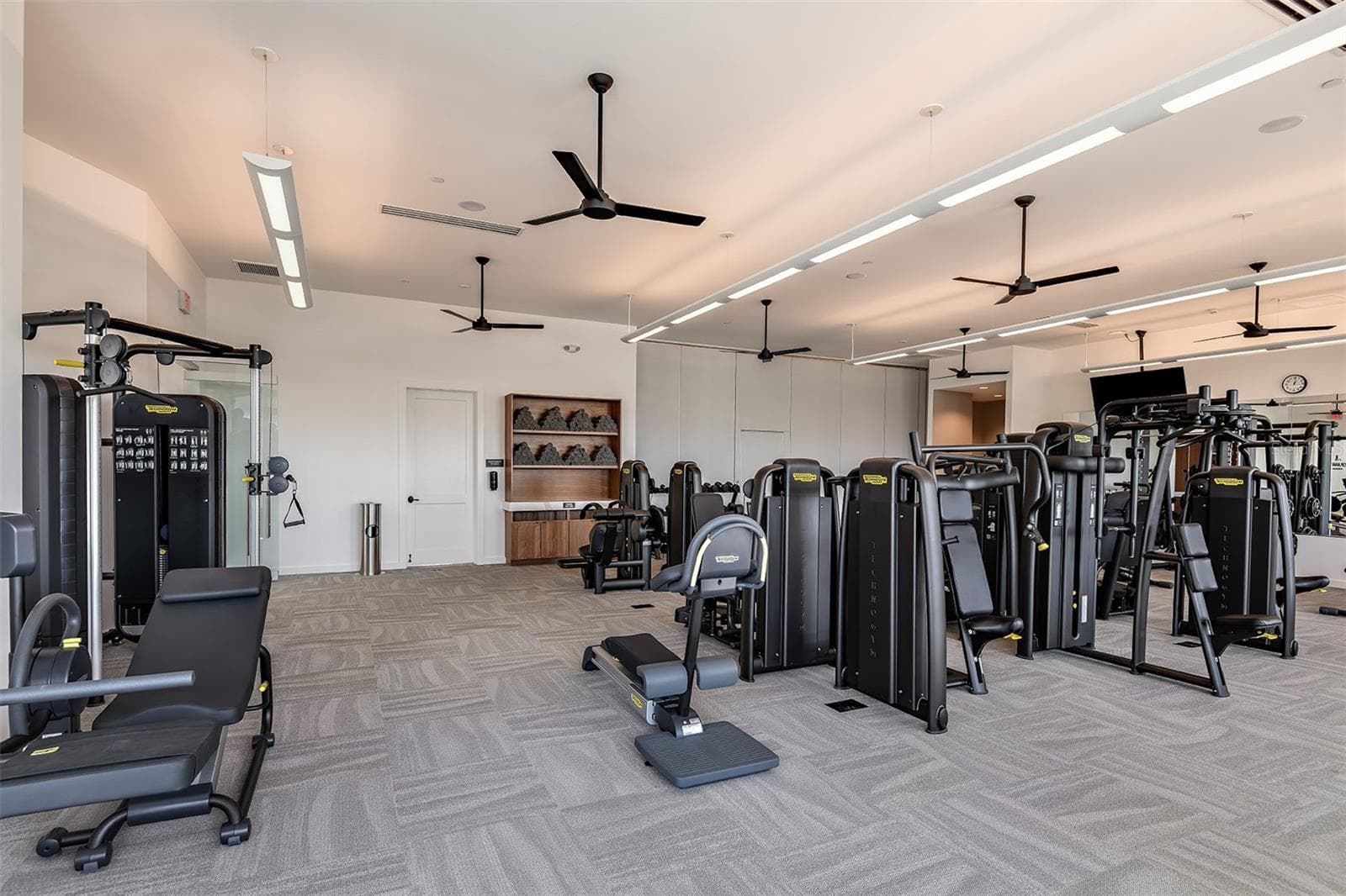 Esplanade at Wiregrass Ranch Community - 30175 IMPERATI BLVD, WESLEY CHAPEL