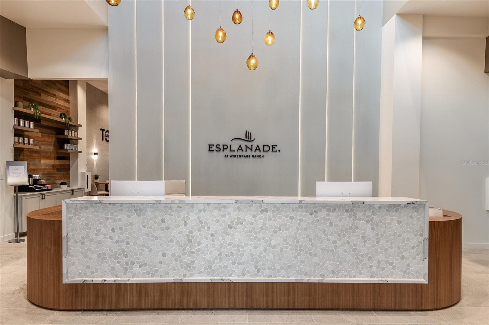 Esplanade at Wiregrass Ranch Community - 30175 IMPERATI BLVD, WESLEY CHAPEL