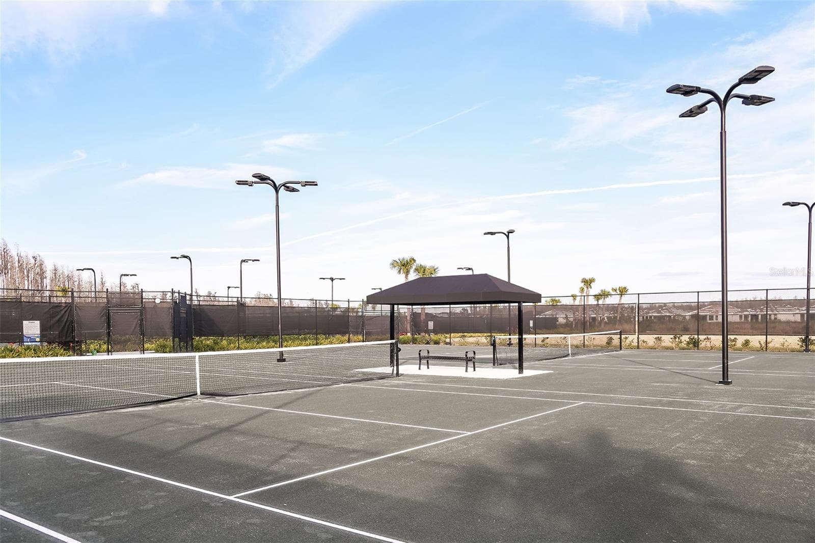Esplanade at Wiregrass Ranch Community - 30175 IMPERATI BLVD, WESLEY CHAPEL