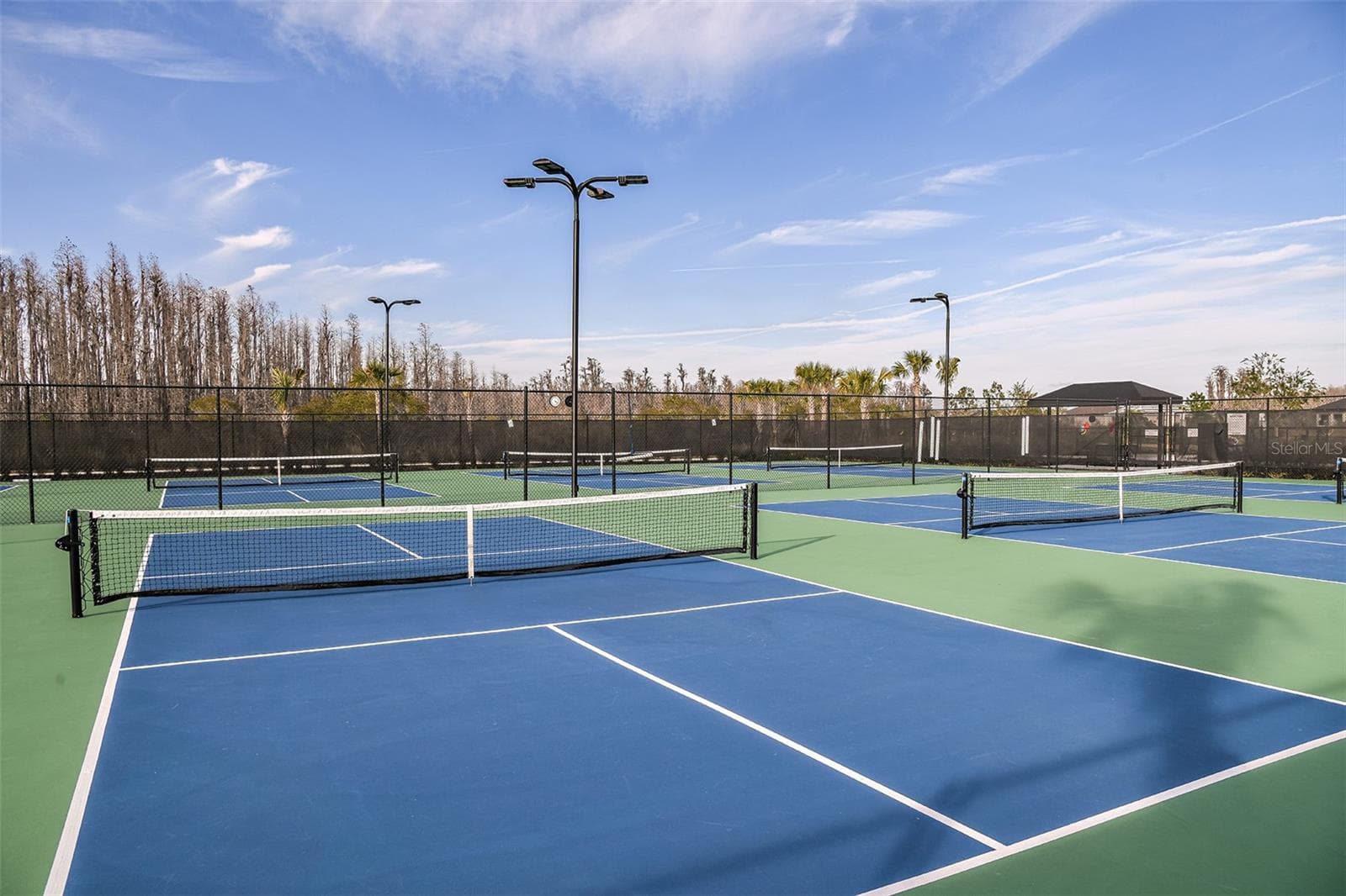 Esplanade at Wiregrass Ranch Community - 30175 IMPERATI BLVD, WESLEY CHAPEL