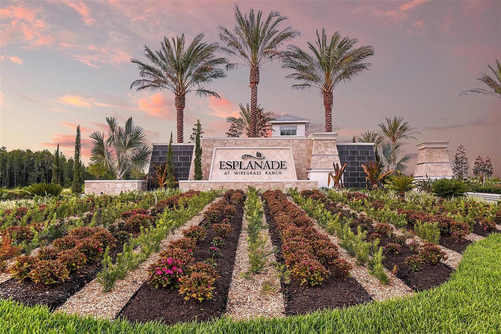 Esplanade at Wiregrass Ranch Community - 30175 IMPERATI BLVD, WESLEY CHAPEL