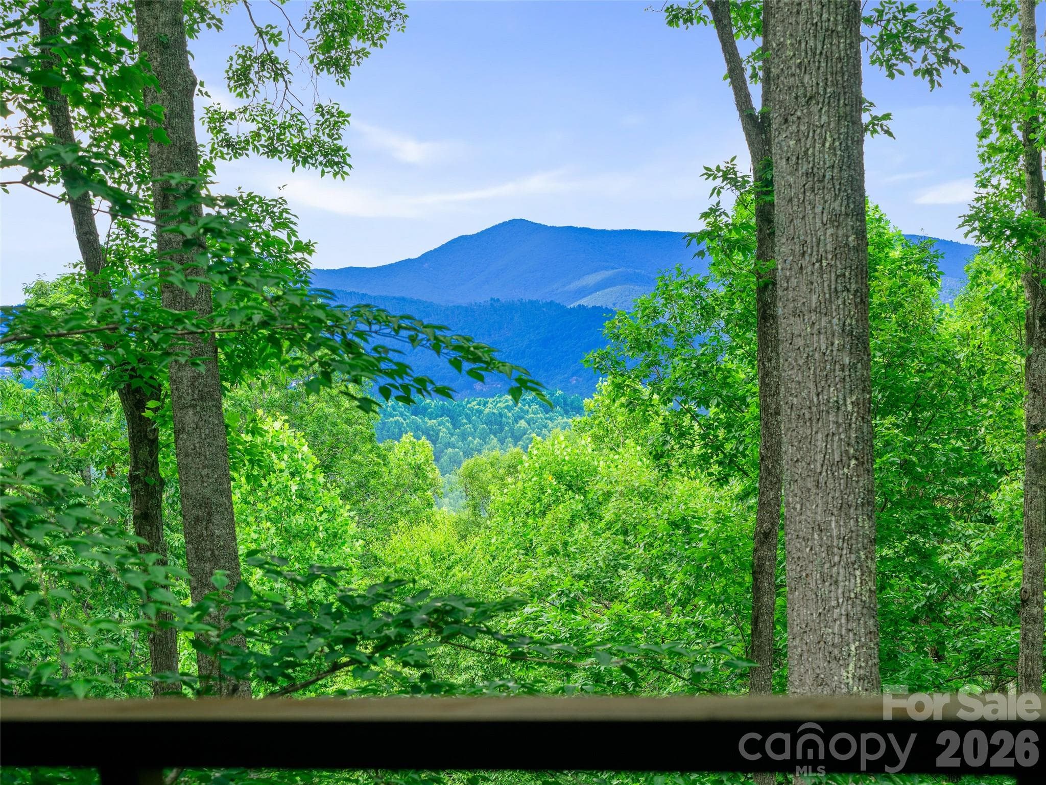 Single Family Residence at 71 Chestnut Hill Road, Spruce Pine, photo 5 of 39