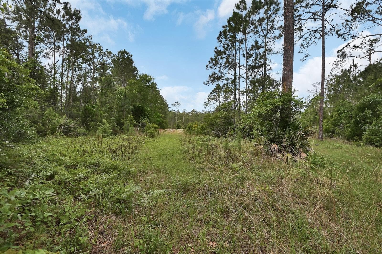 Ground view - 0 W SR 40 HWY, ORMOND BEACH