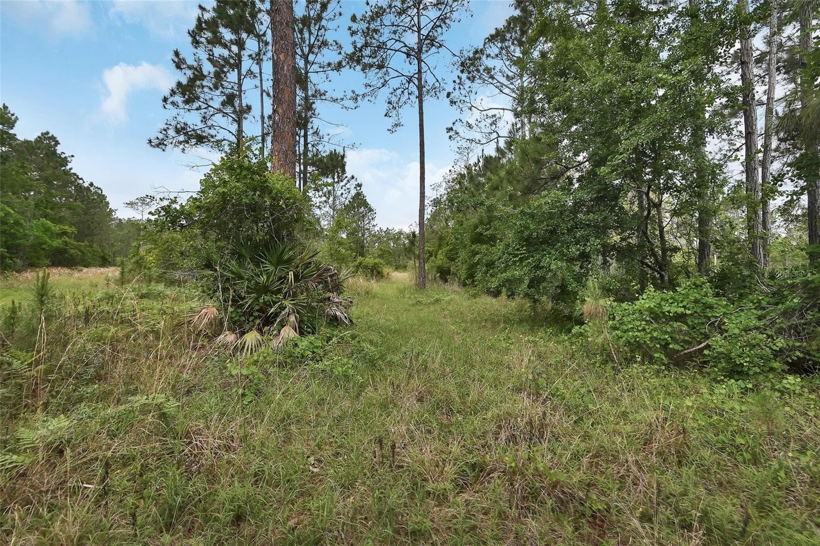 Land at 0 W SR 40 HWY, ORMOND BEACH, photo 10 of 13