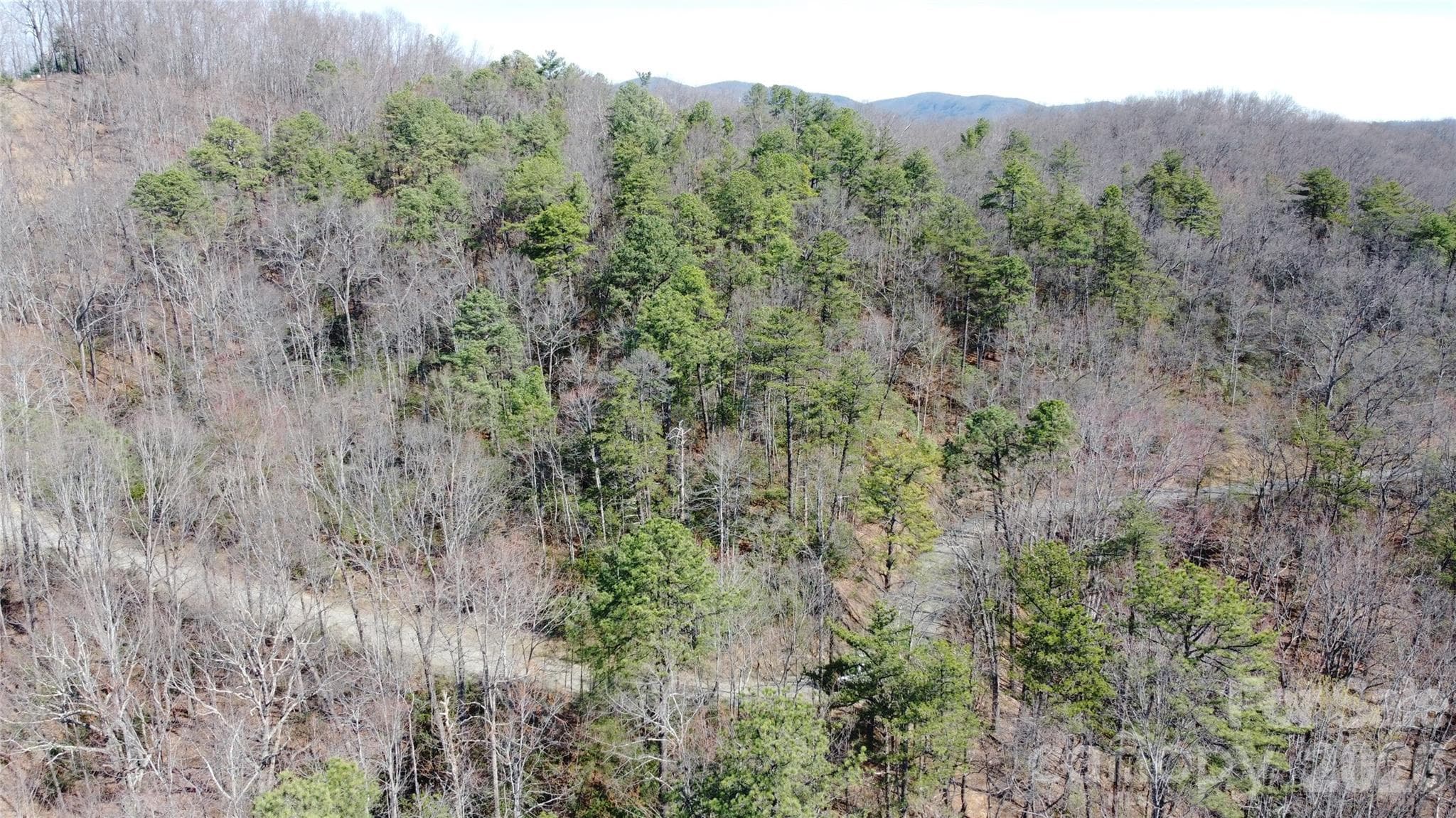 Lot at Hays, photo 9 of 12