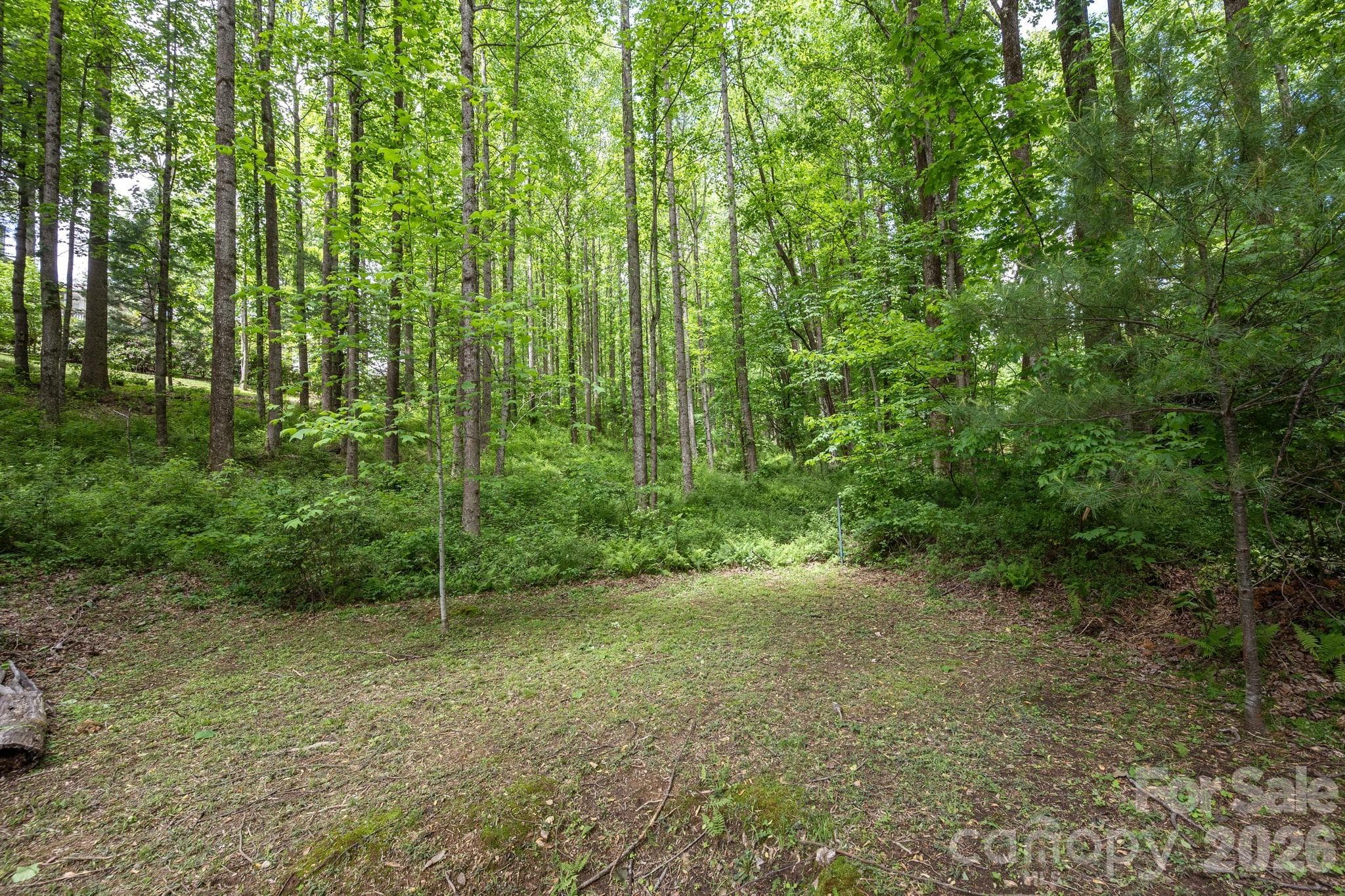 Single Family Residence at 113 CHANCERY Court, Flat Rock, photo 41 of 45