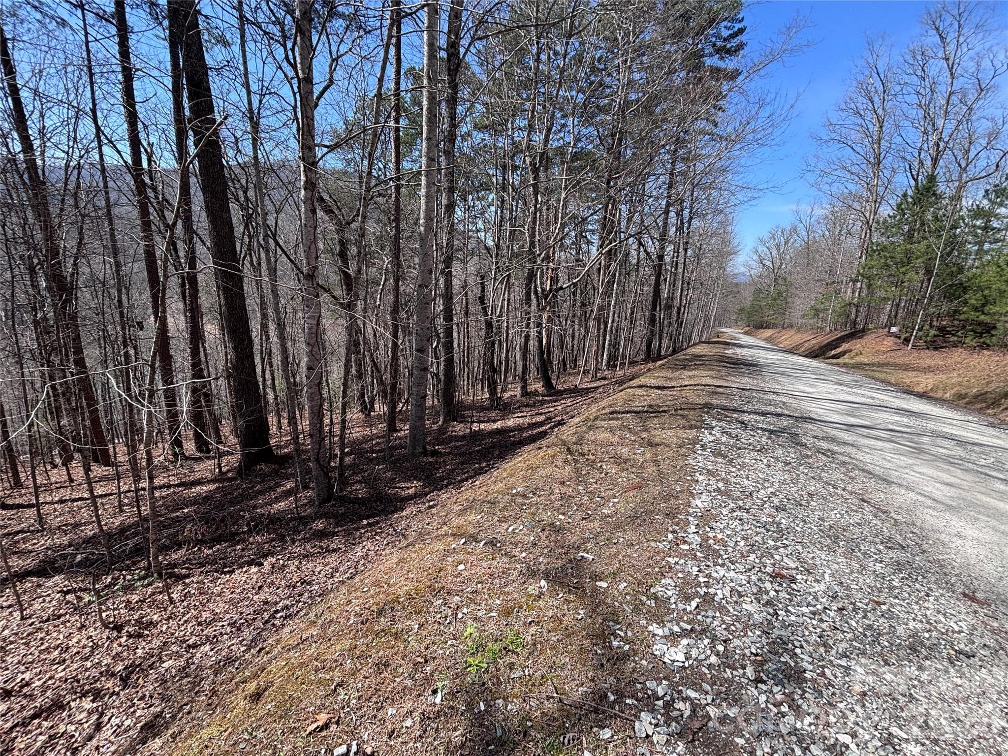 Lot at Lot 55-3 Fontana Loop S, Bryson City, photo 19 of 30