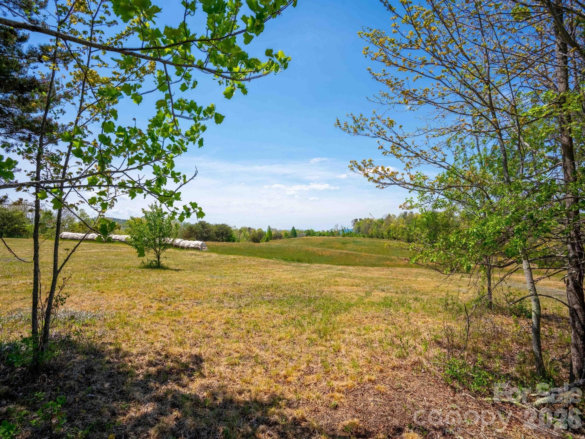 Acreage at 3670 Summer Road, Hendersonville, photo 7 of 22