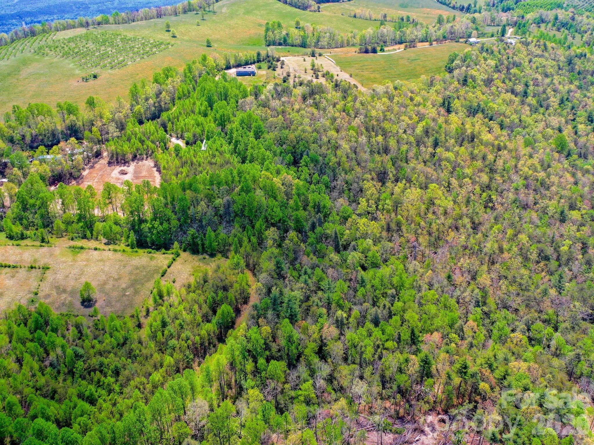 Acreage at 3670 Summer Road, Hendersonville, photo 11 of 22