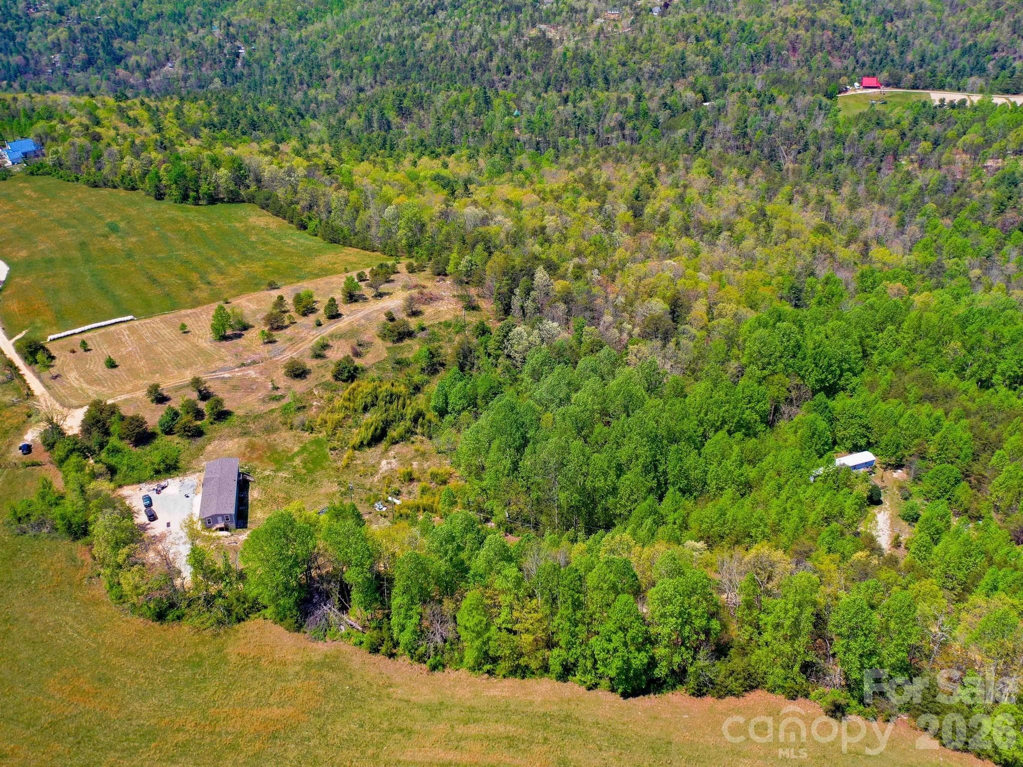 Acreage at 3670 Summer Road, Hendersonville, photo 13 of 22