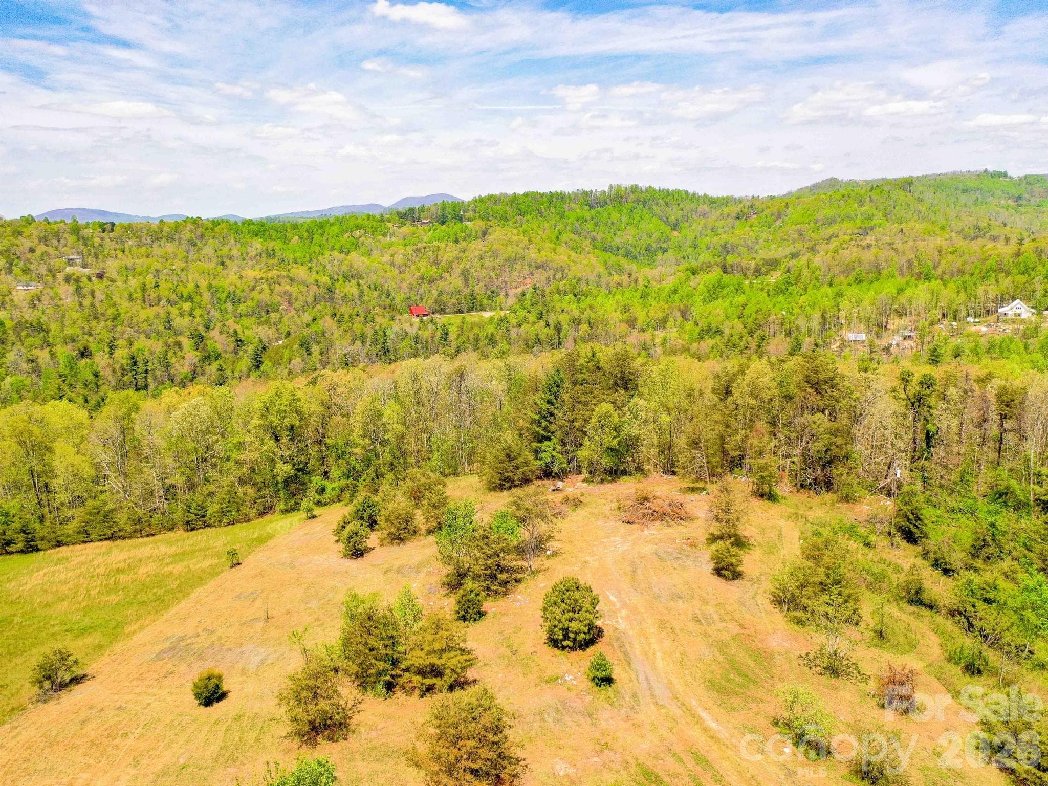 Acreage at 3670 Summer Road, Hendersonville, photo 20 of 22