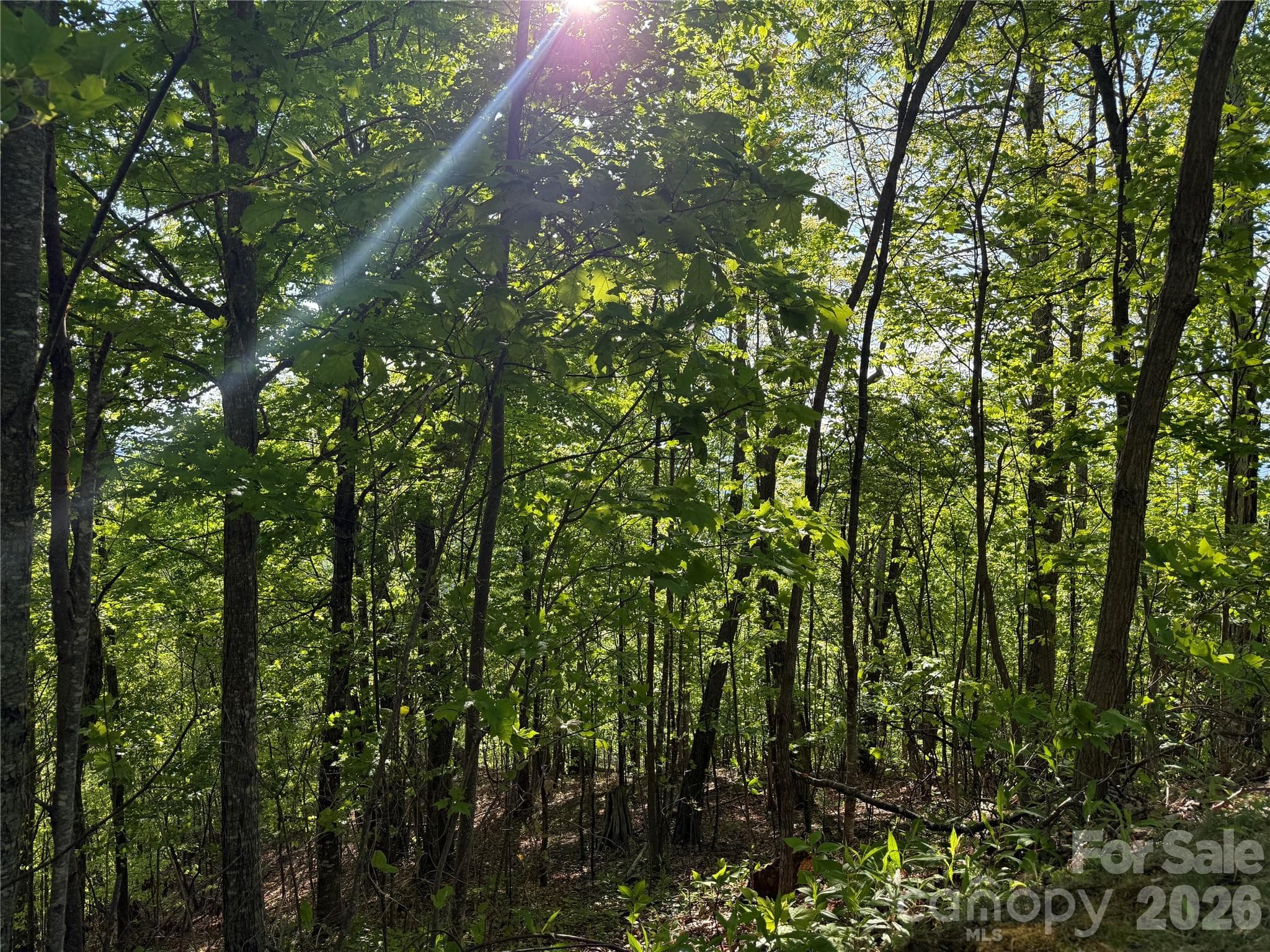 Lot at Burnsville, photo 2 of 8