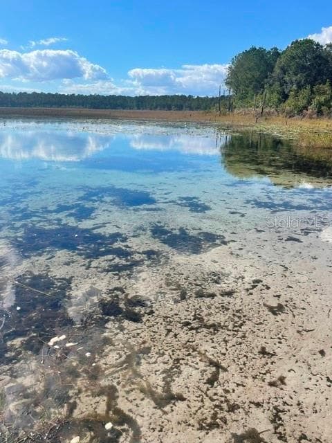 Land at 9345 SE 195TH AVE, OCKLAWAHA, photo 12 of 15