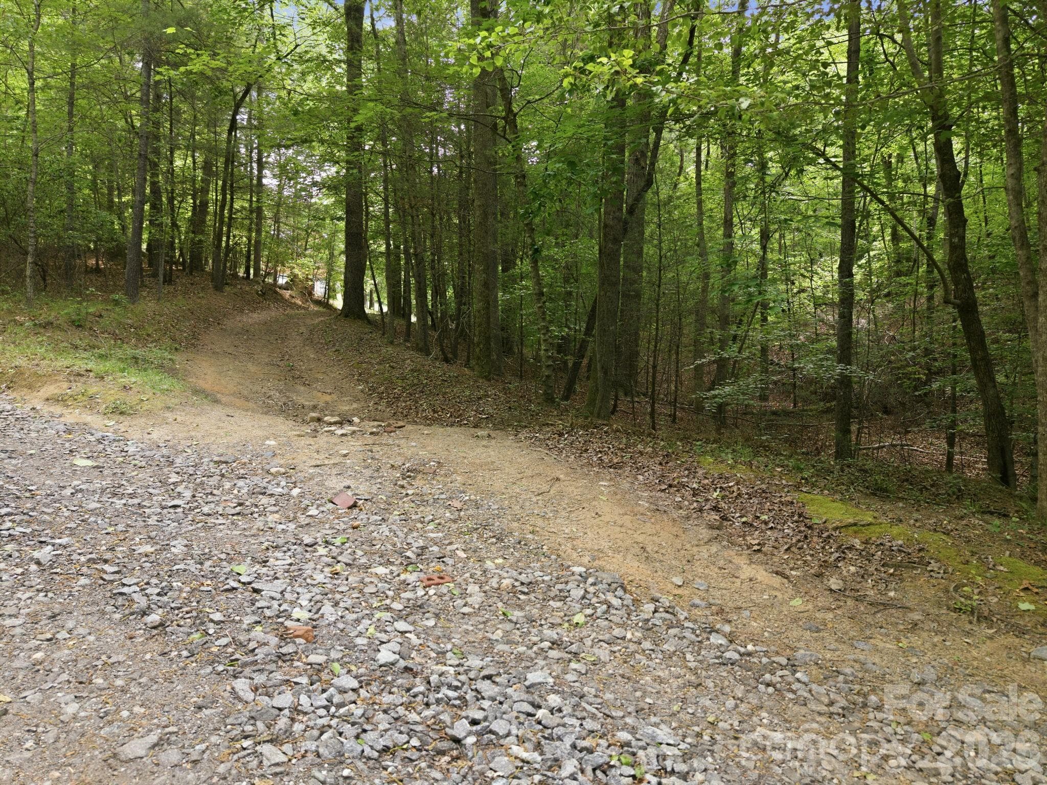 Acreage at Lenoir, photo 4 of 6