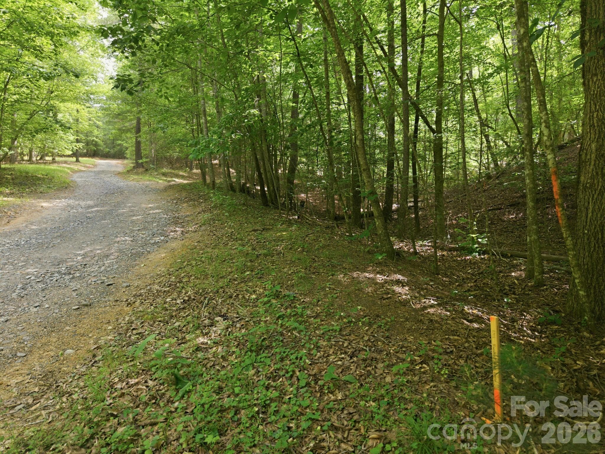 Acreage at Lenoir, photo 5 of 6