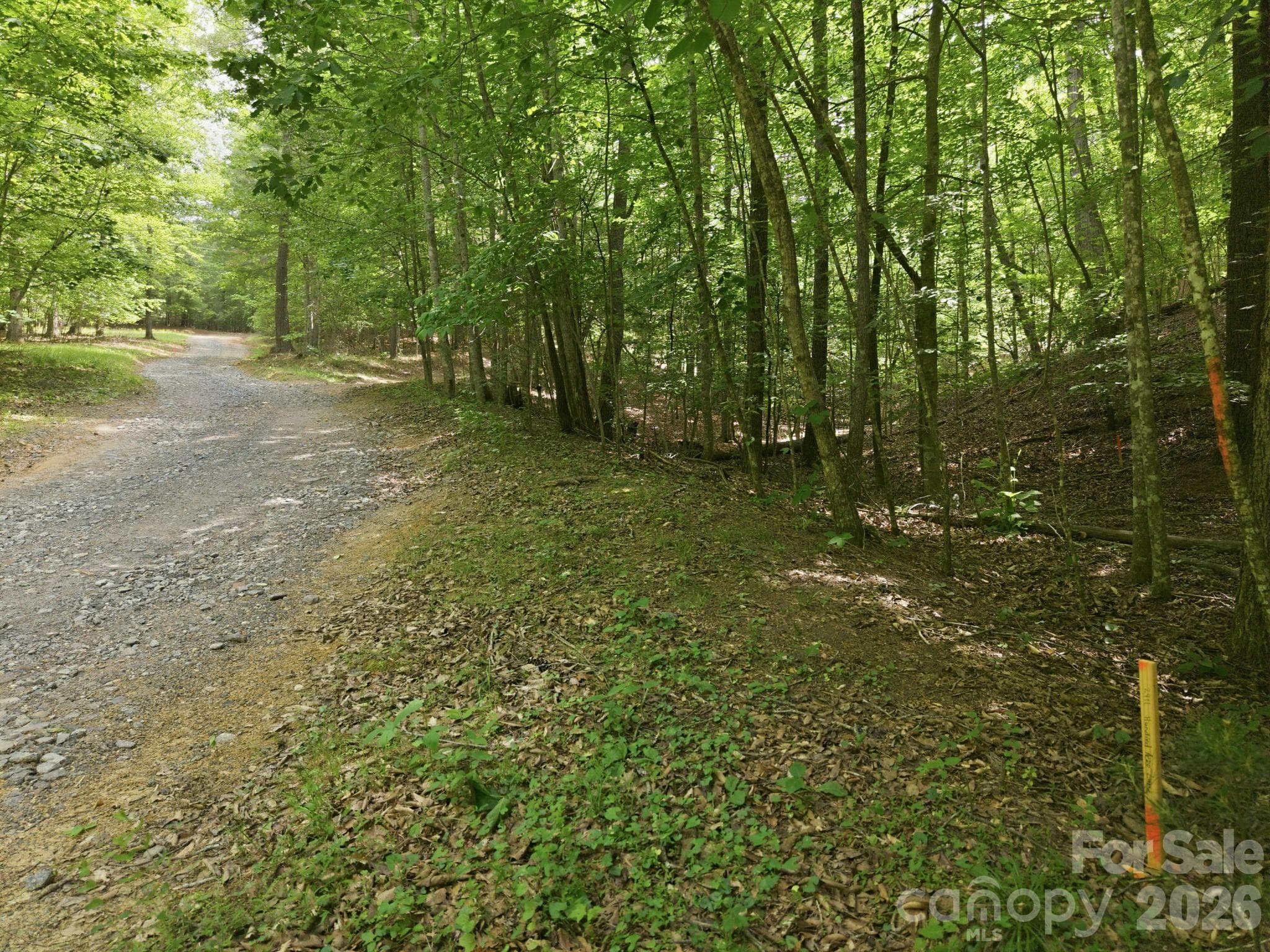 Acreage at Lenoir, photo 6 of 6