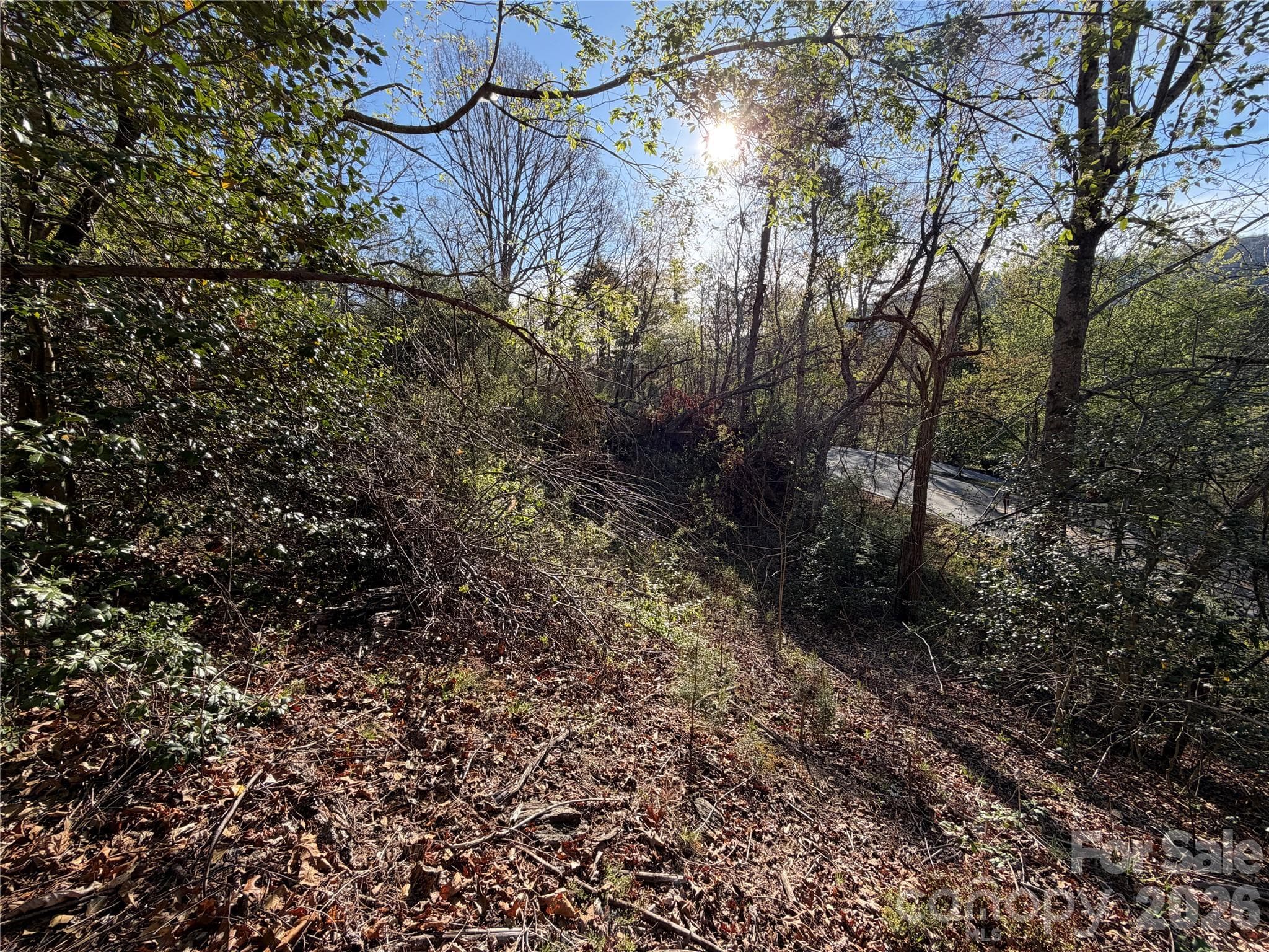 Lot at Asheville, photo 4 of 7