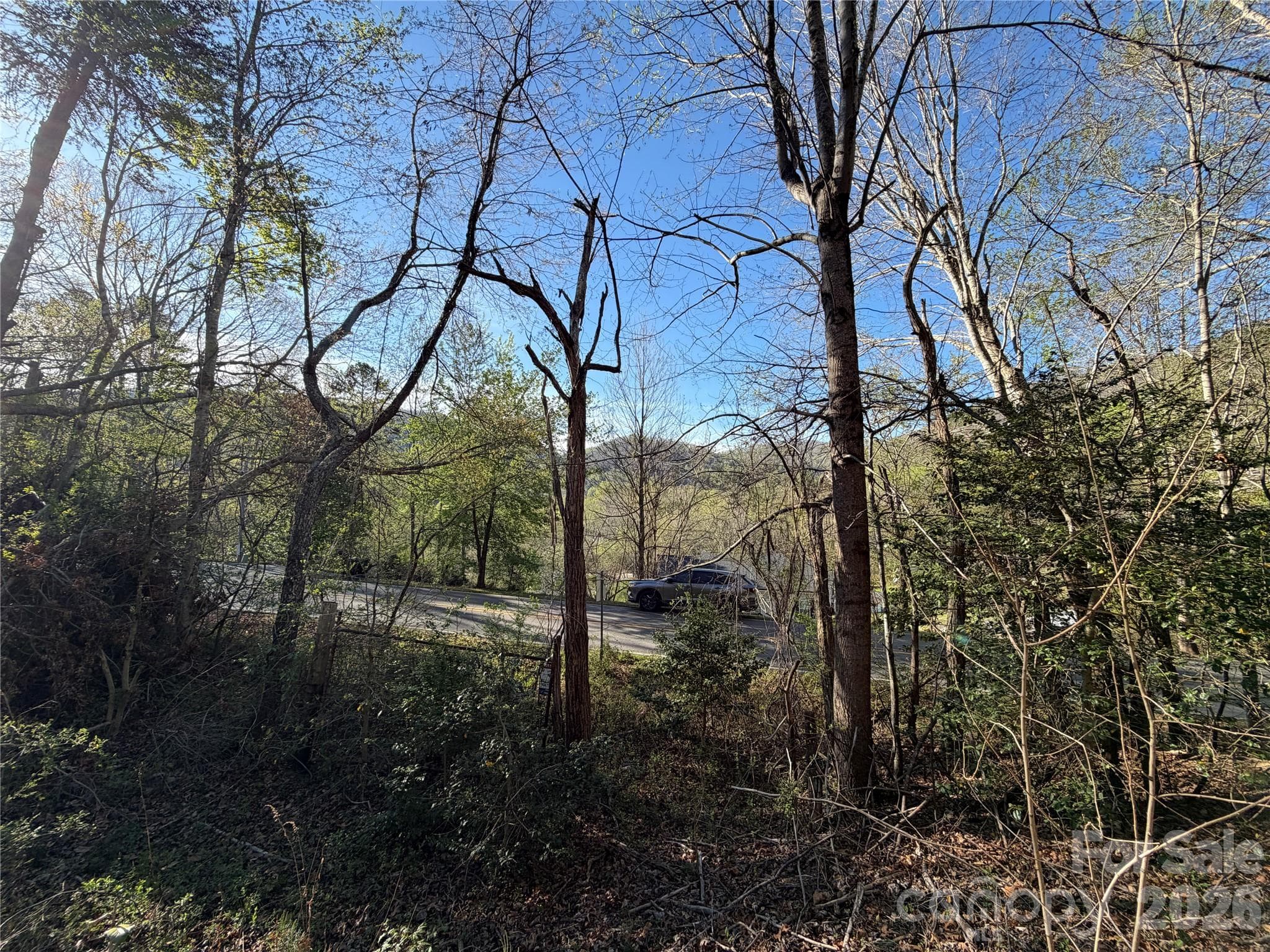 Lot at Asheville, photo 6 of 7