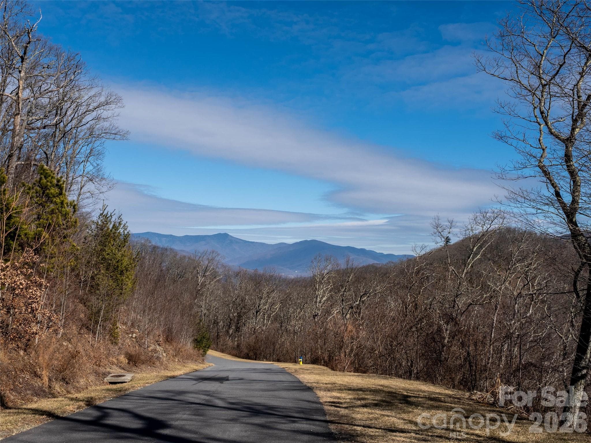 Southcliff Parkway looking towards Mt. Mitchell. - 9997 Southcliff Parkway, Fairview