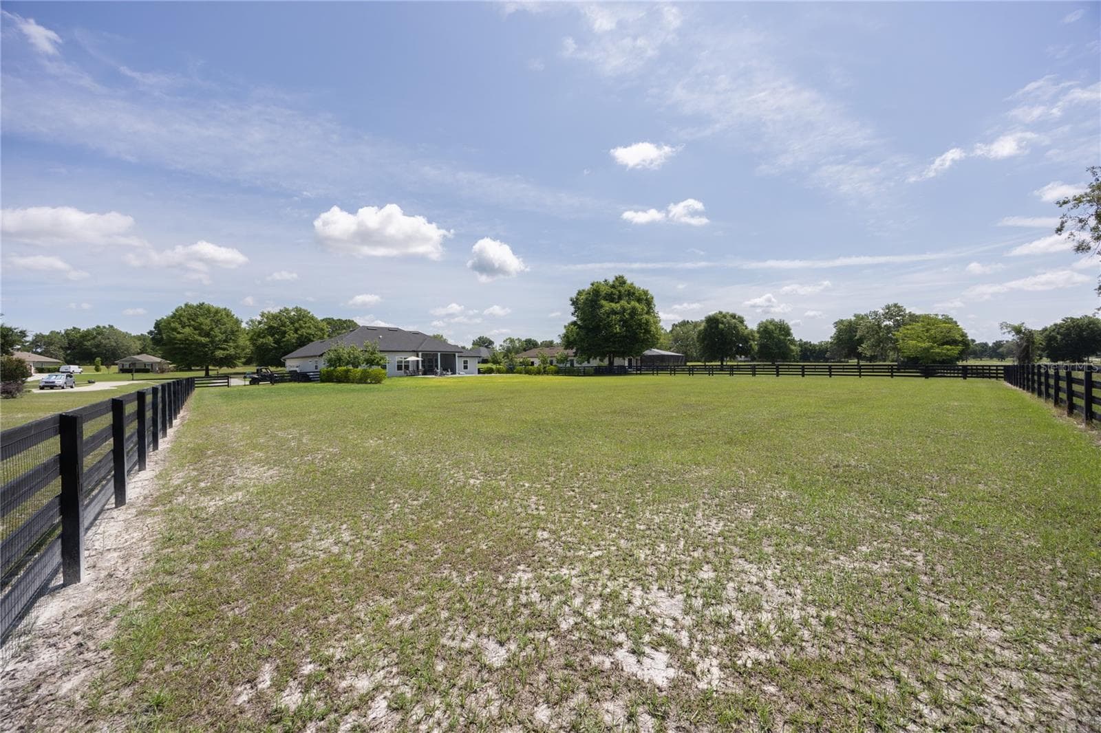 Backyard - 1146 SW MANDIBA DR, LAKE CITY