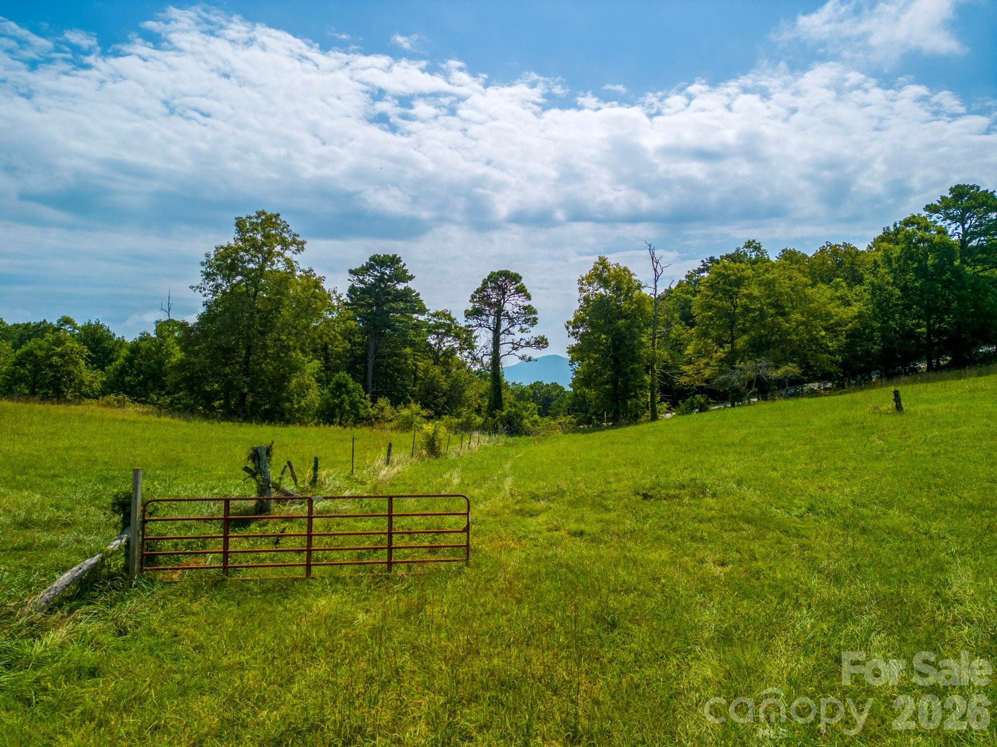 Acreage at TBD Summer Road, Hendersonville, photo 4 of 34