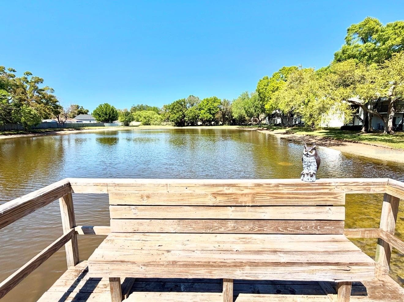 The south side of the lake from the dock. - 3815 N OAK DR #G71, TAMPA