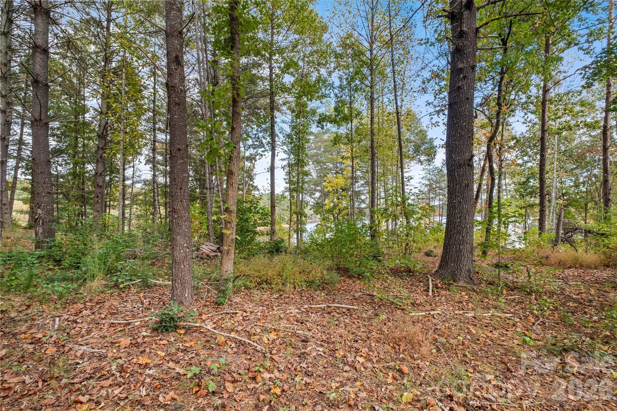 Lot at 00 Scenic Lane, Granite Falls, photo 6 of 19