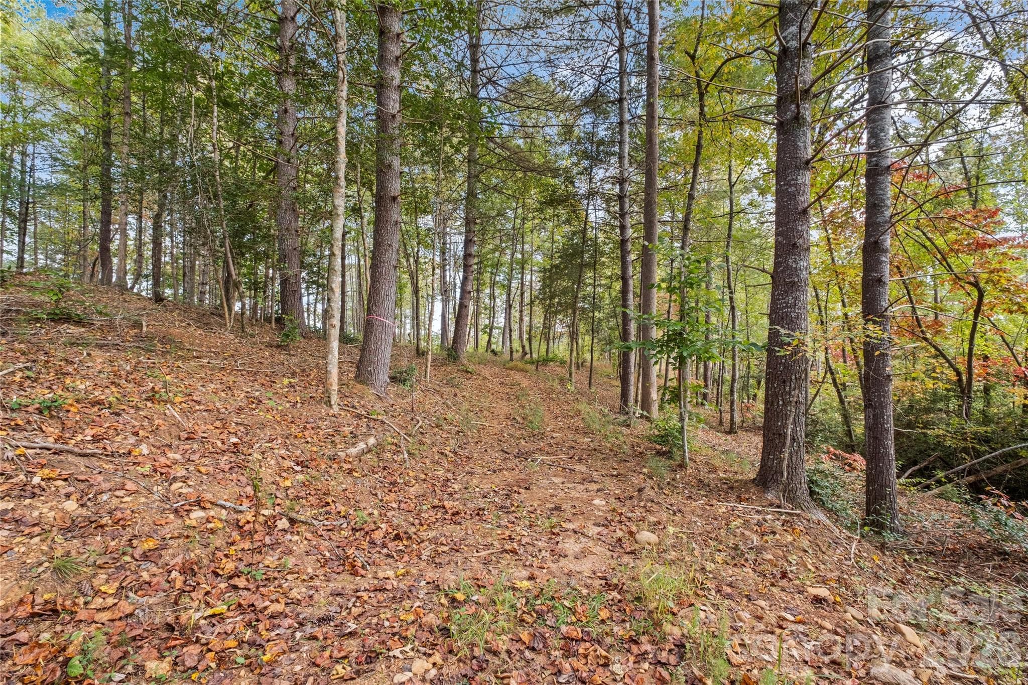 Lot at 00 Scenic Lane, Granite Falls, photo 7 of 19