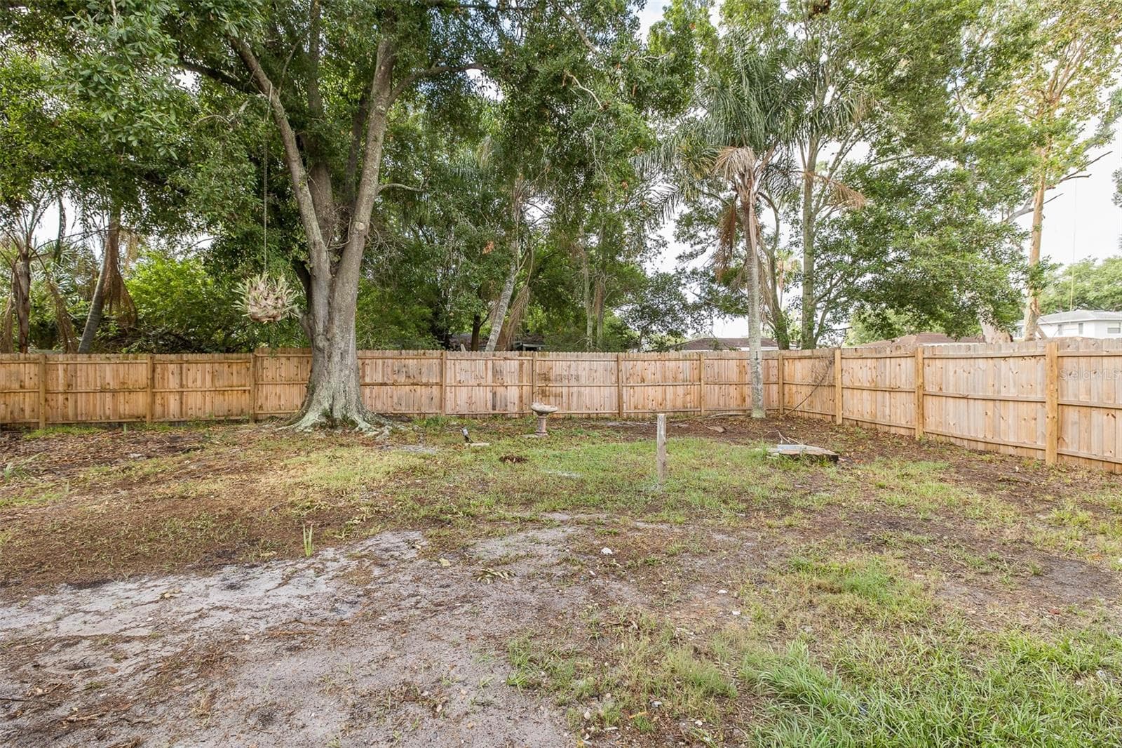 Fully-fenced backyard - 1815 DRIFTWOOD CIR S, OLDSMAR