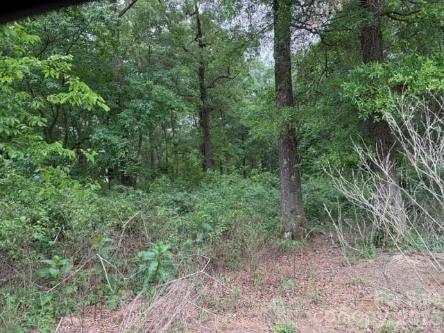 Acreage at Monroe, photo 2 of 8