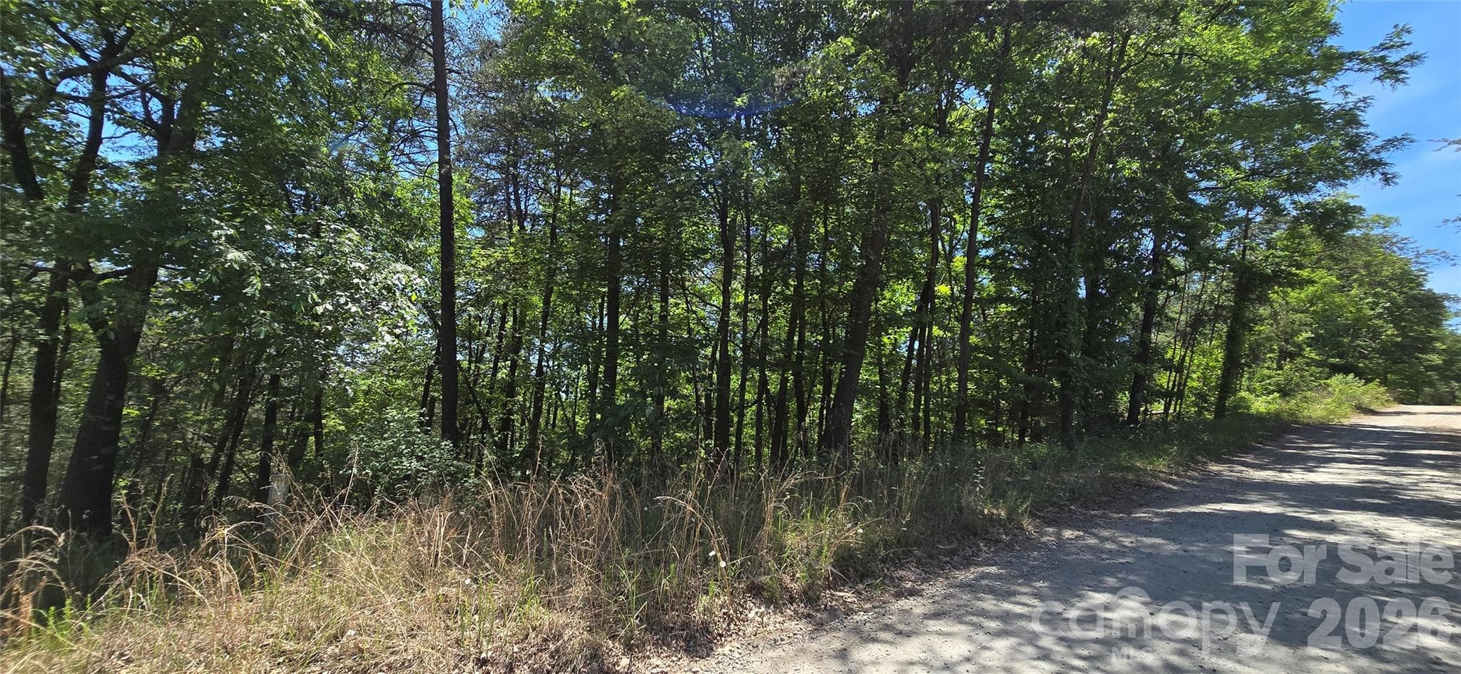 road frontage - Lot 7 Pinnacle Parkway, Union Mills