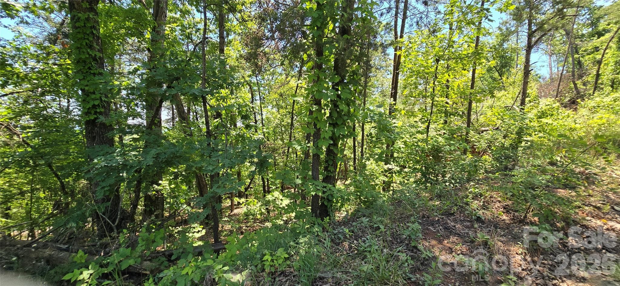 sloped land - Lot 7 Pinnacle Parkway, Union Mills