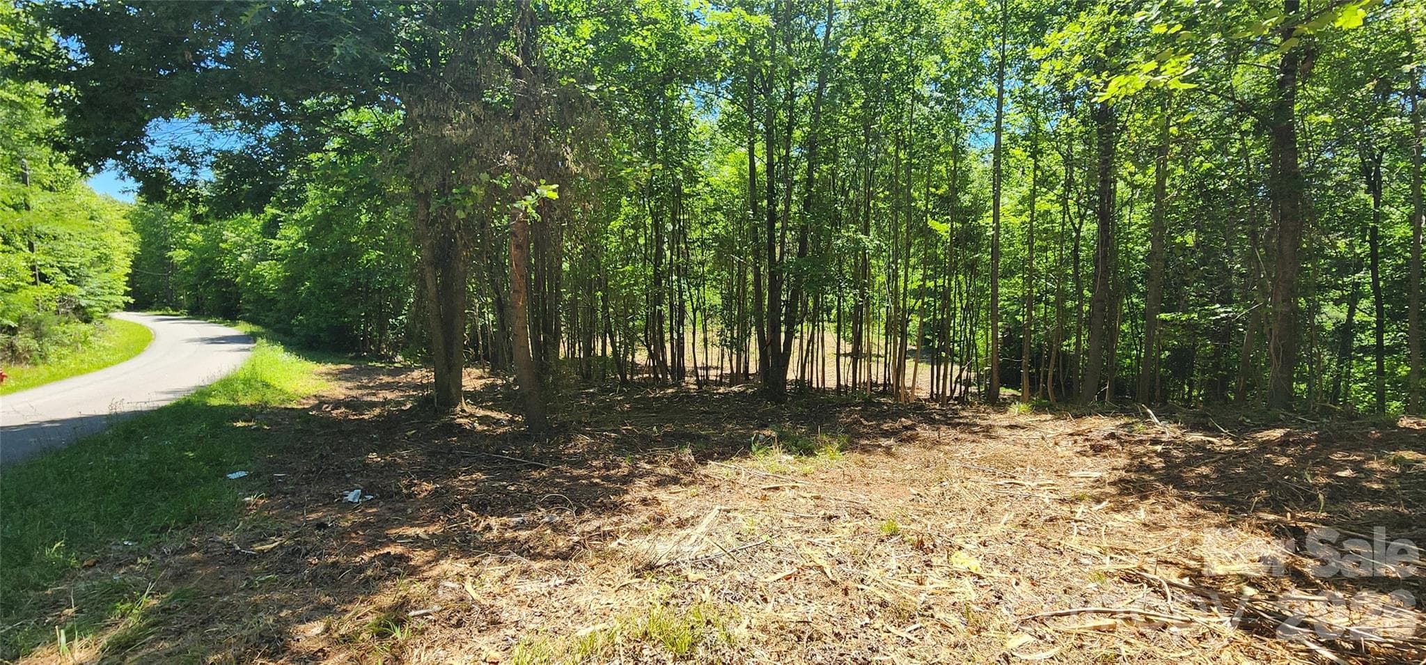 Lot at 480 Brown Road, Spartanburg, photo 27 of 48